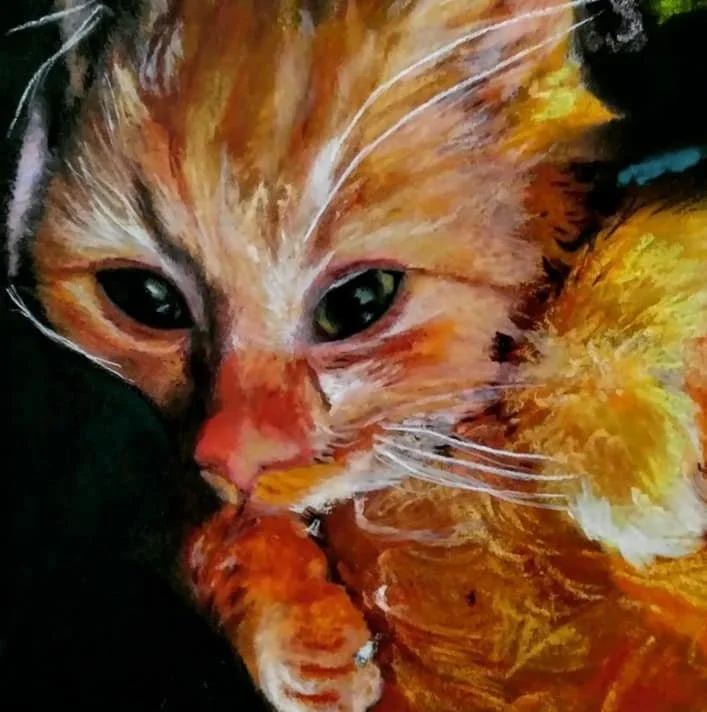 Pastel portrait of a small kitten