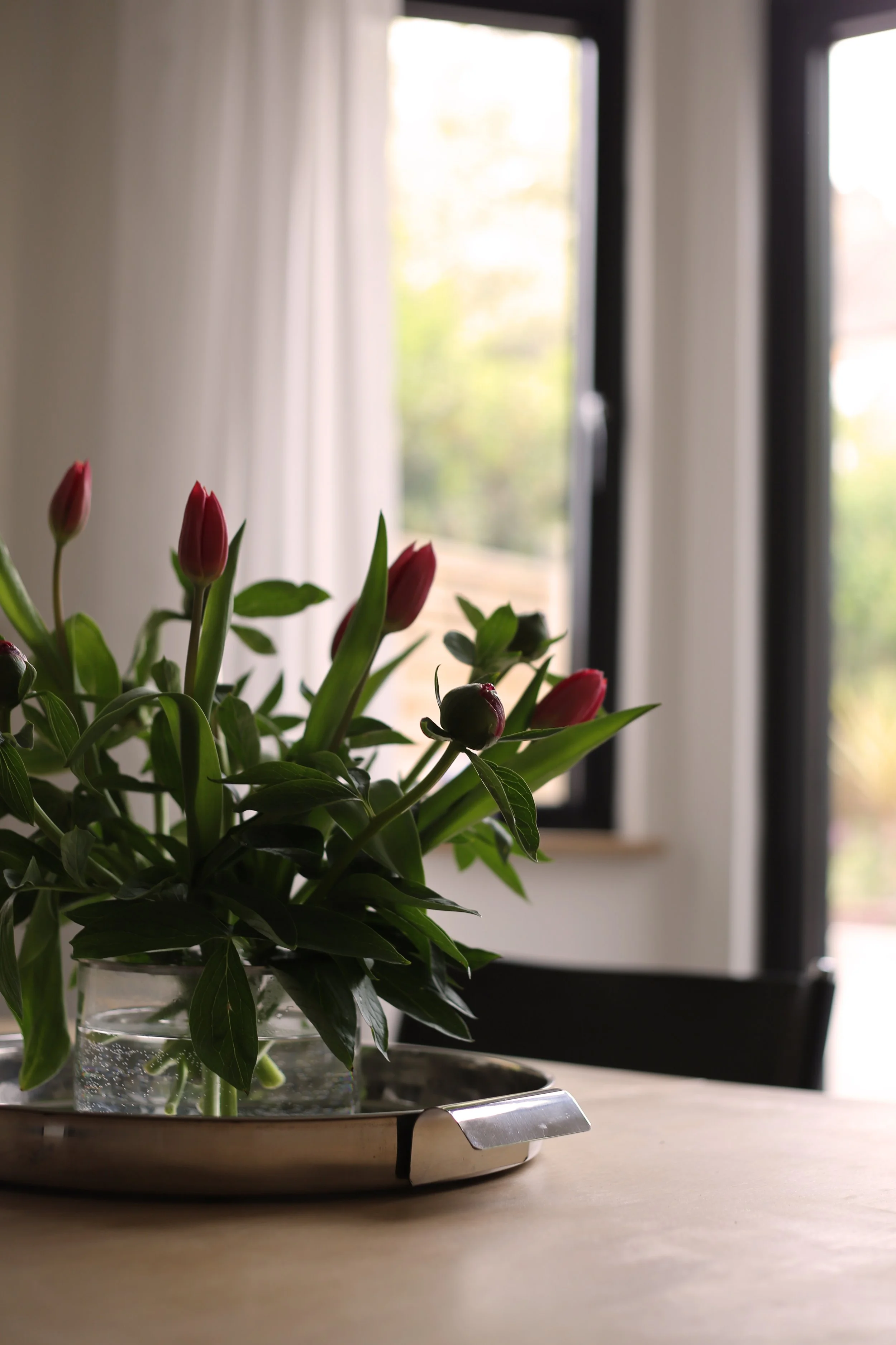 A vase with pinkish-red buds and green leaves on a table in front of a window with white curtains and a view of trees outside.