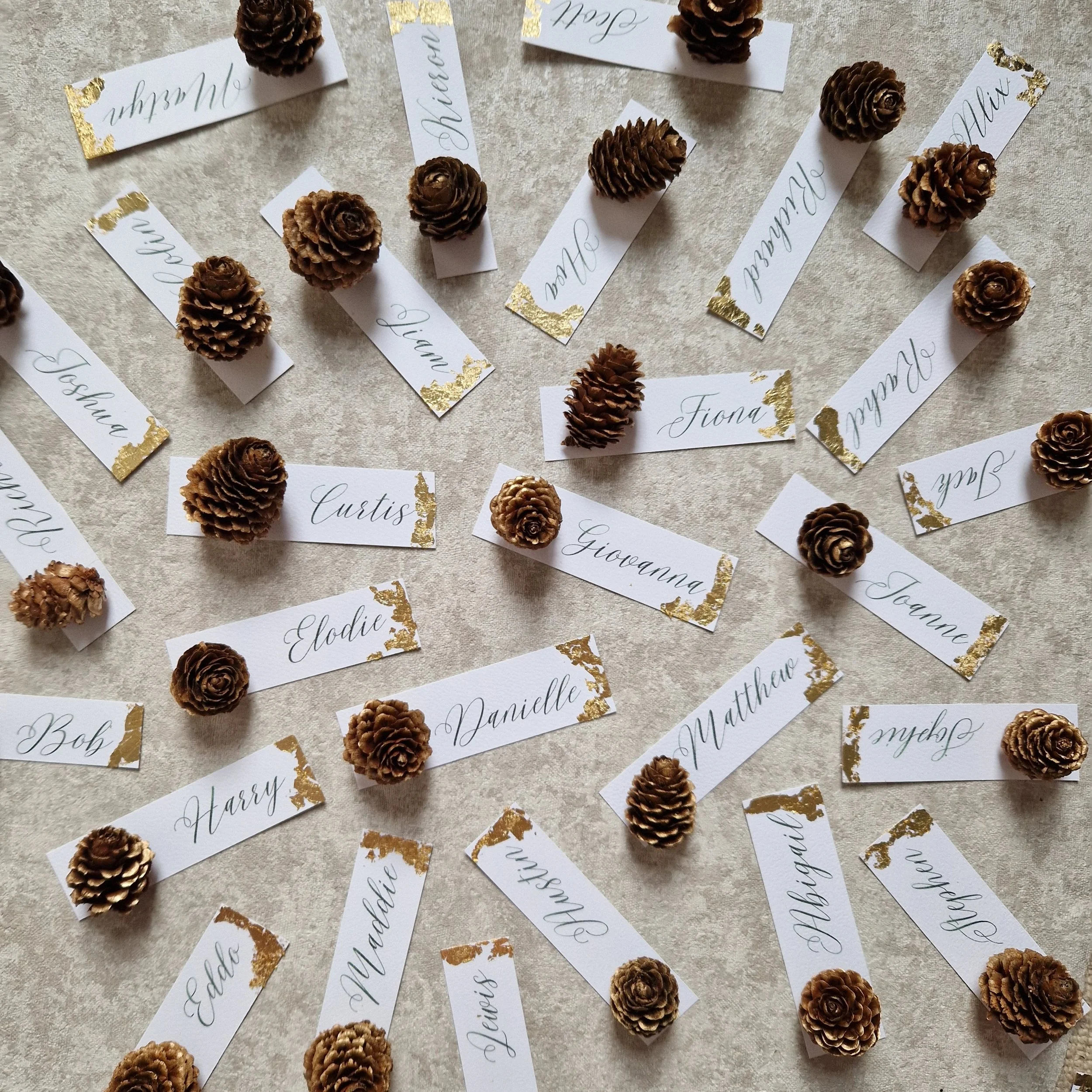 Place Names with small pinecones and white name tags with gold foil accents, each bearing a handwritten name in cursive.