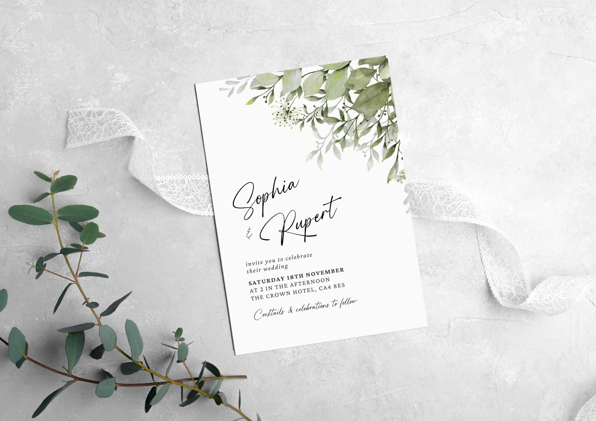 The Willow Collection