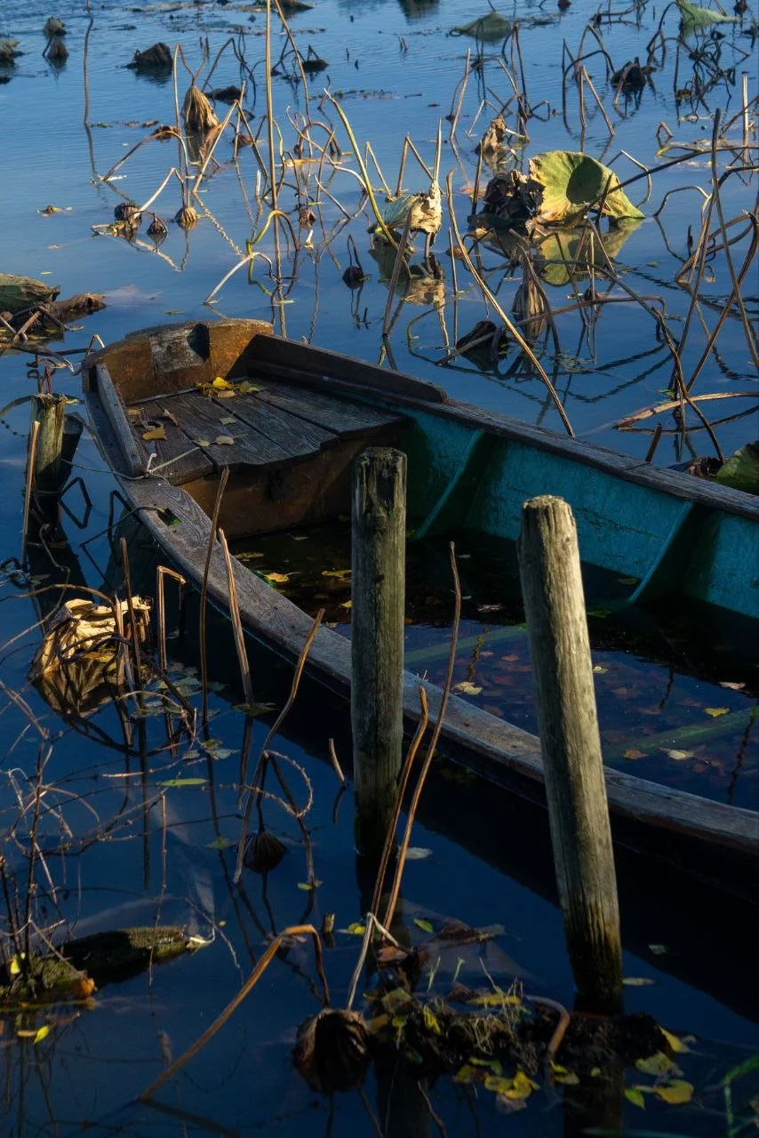 2026-03-03 18.31.24.jpg