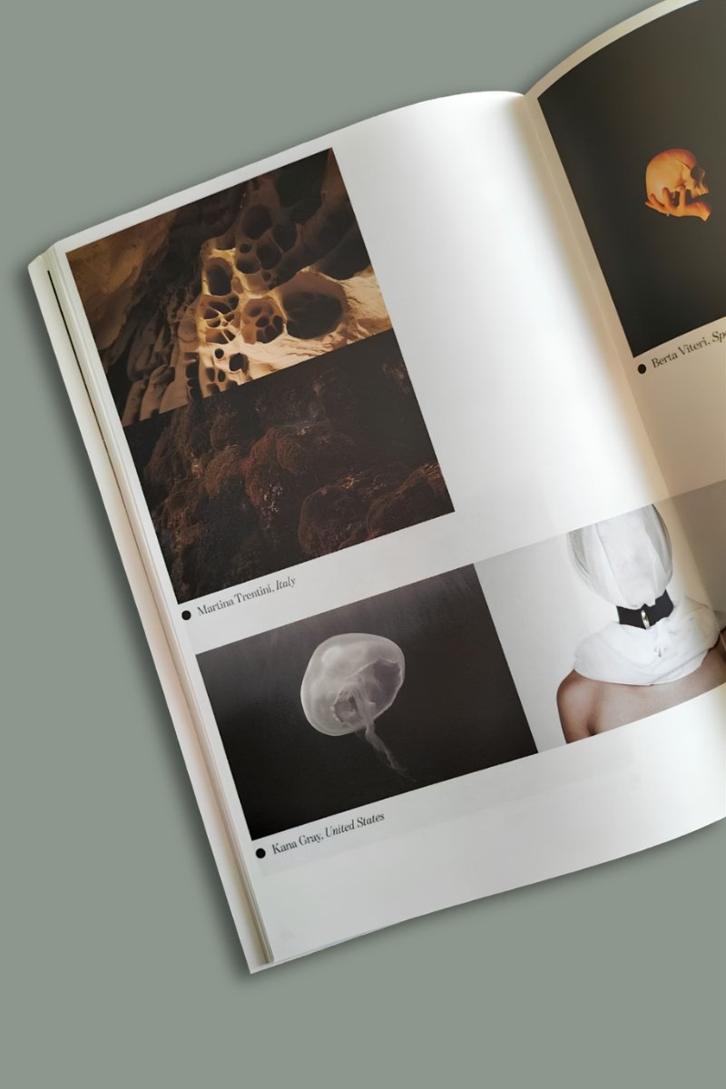 Due pagine di un catalogo con fotografie: una mostra formazioni rocciose di colore ocra con cavità, l'altra raffigura una parete rocciosa ricoperta di muschio.