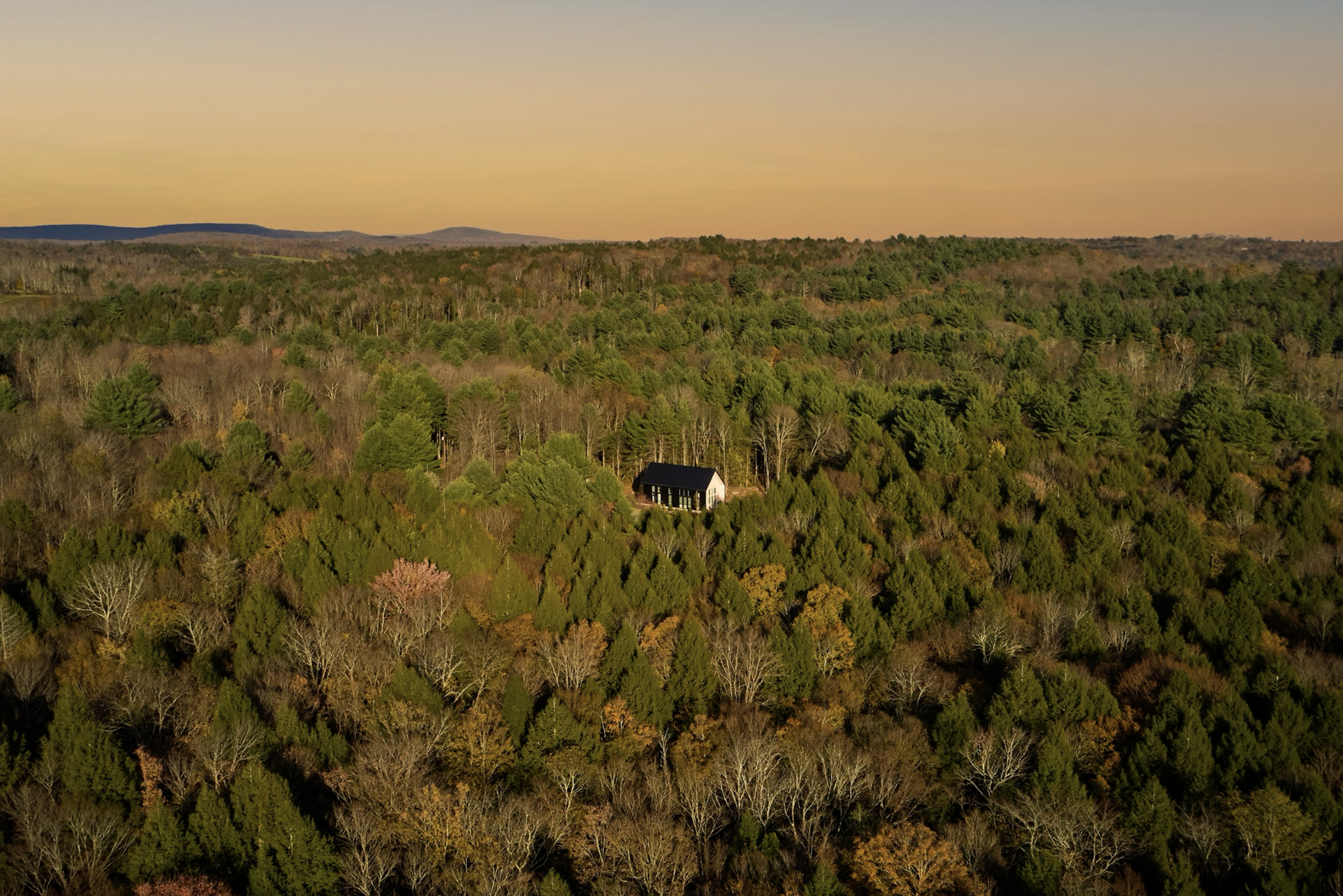 Screenshot 2026-02-02 at 4.03.55 PM.png