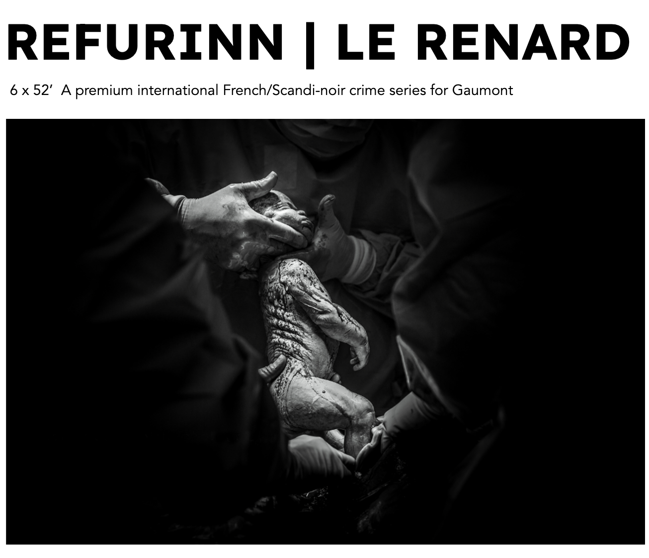Refurinn | The Fox