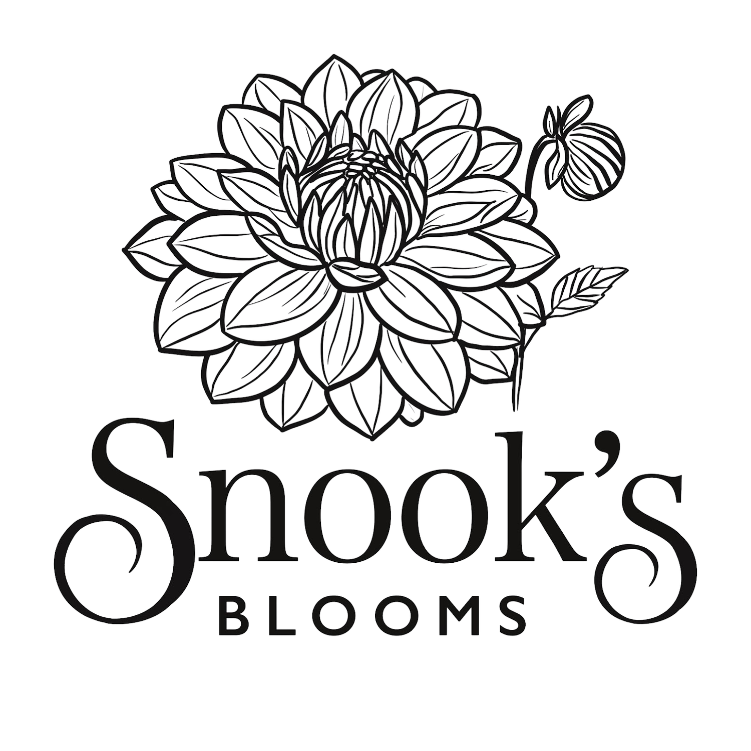 Snook's Blooms