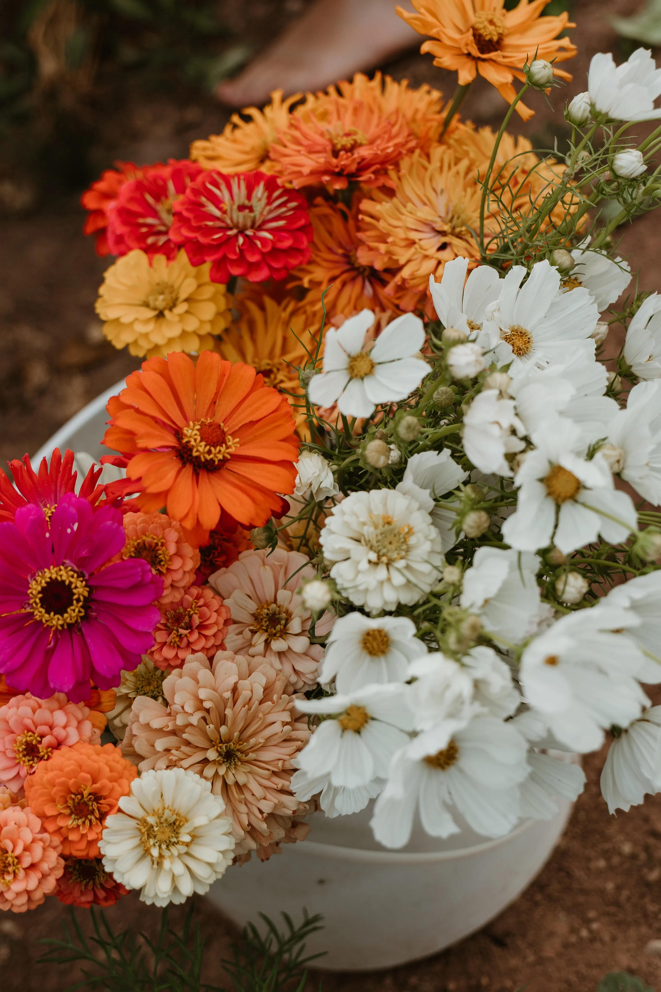 Colorful bouquet of orange, pink, cream, and white flowers in a white vase on a dirt surface.