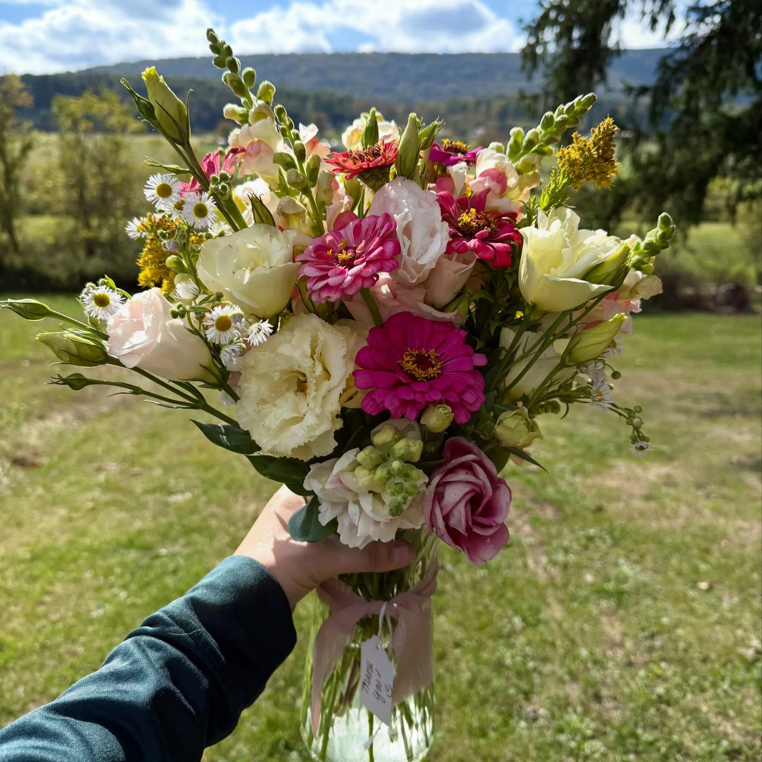 A hand holding a bouquet of mixed flowers outdoors with mountains and a blue sky in the background.