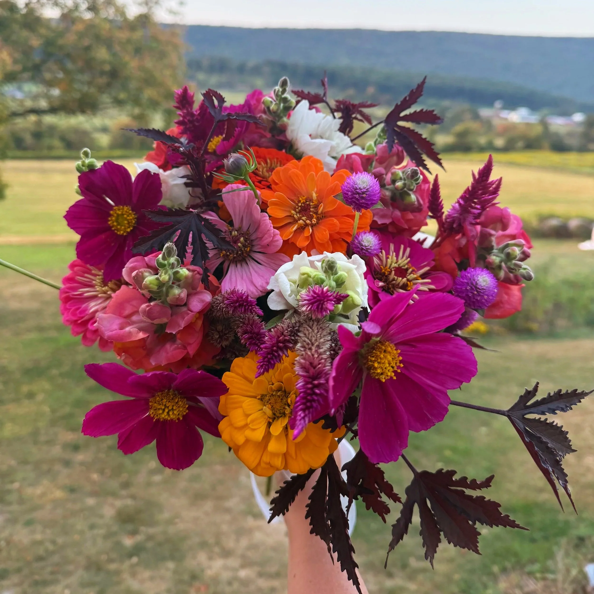 A colorful bouquet of various flowers with pink, purple, orange, and white blooms, held outdoors with a scenic landscape of fields, trees, and distant hills in the background.