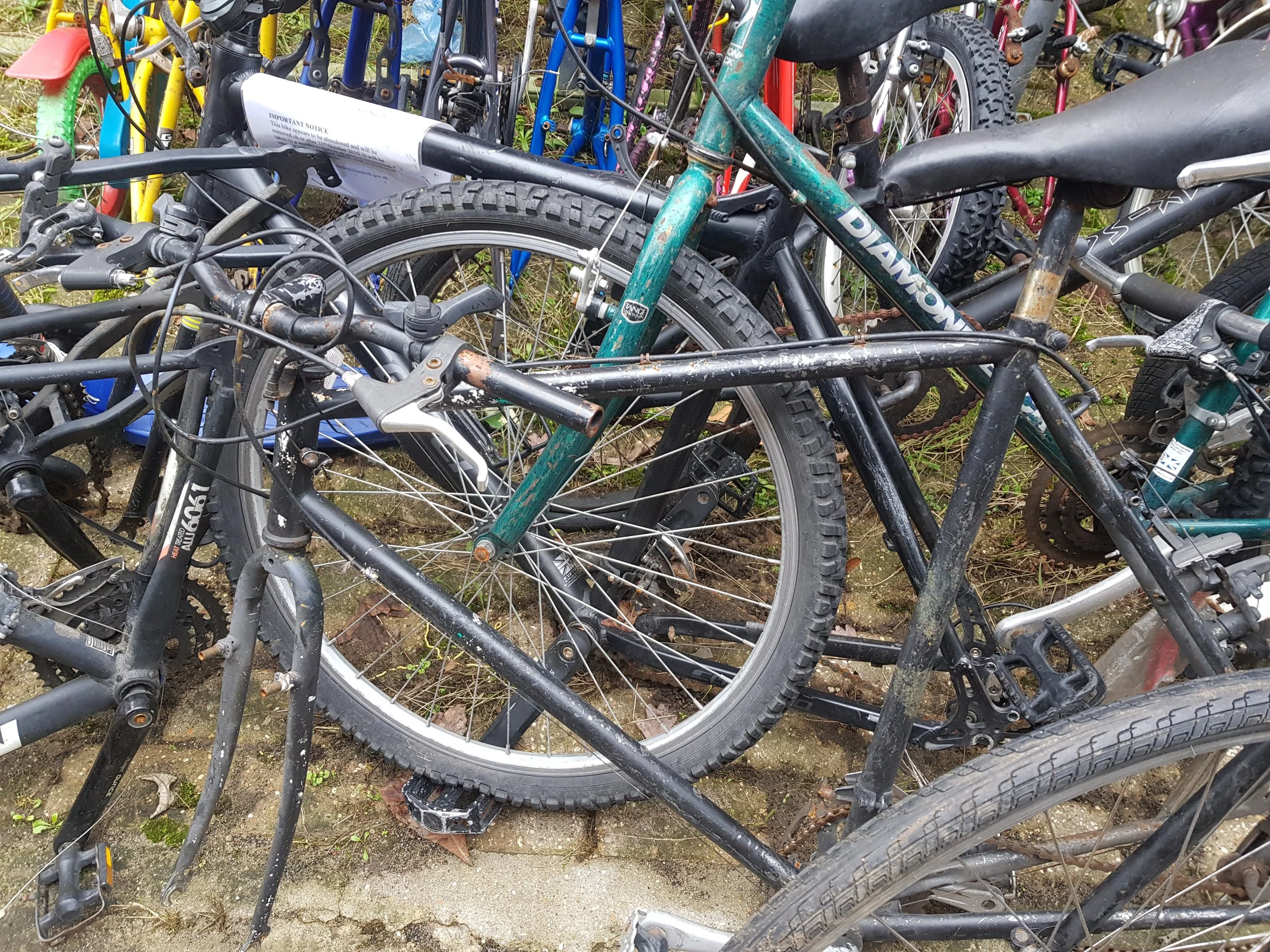 A pile of discarded and rusty bicycles stacked together outdoors, some with flat tires and broken parts.
