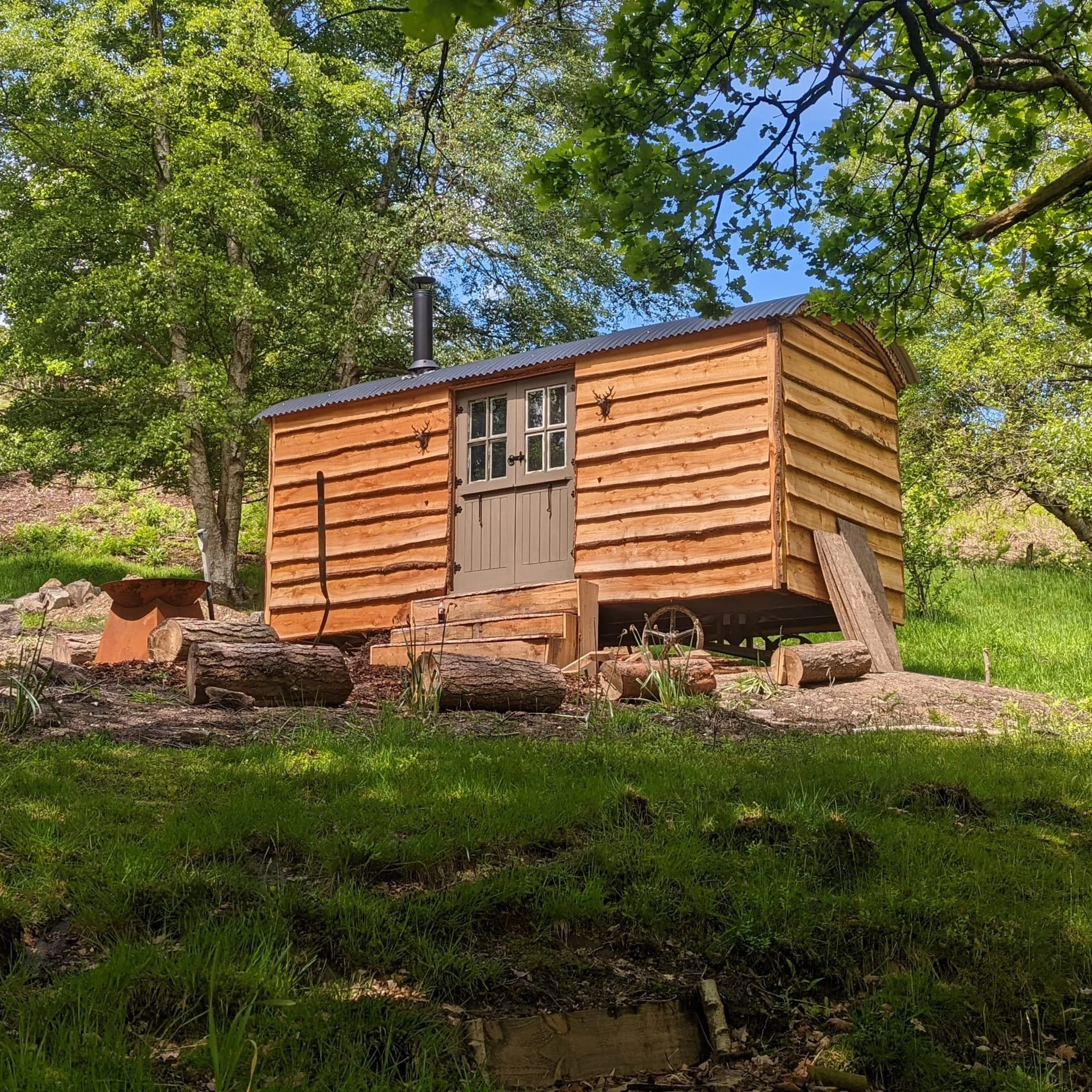 A small wooden cabin with a metal roof, decorated with deer head mounts, surrounded by green trees and grass.