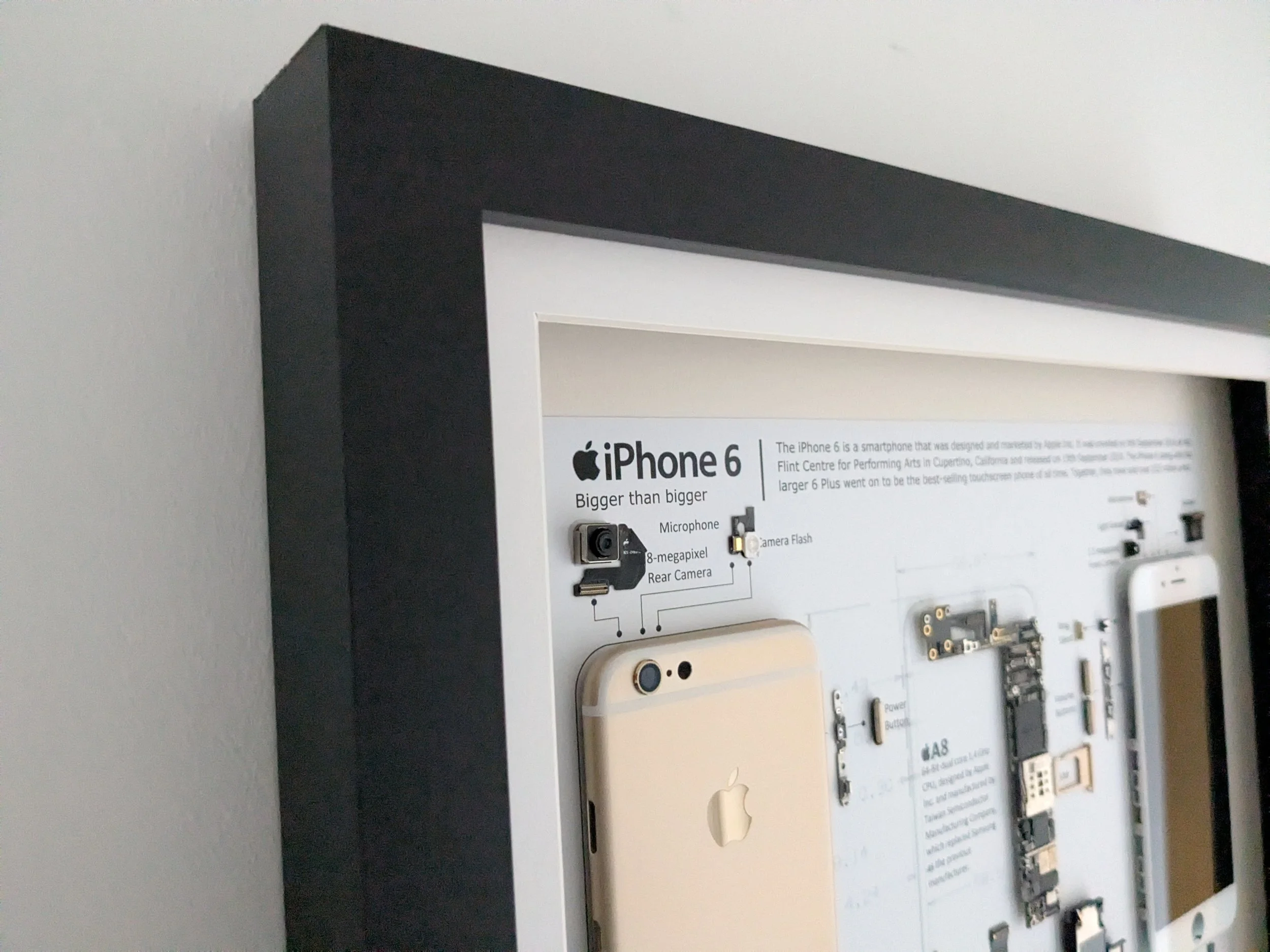 Deconstructed iPhone 6 (Rose Gold) – Apple Tech Art, Teardown Wall Display