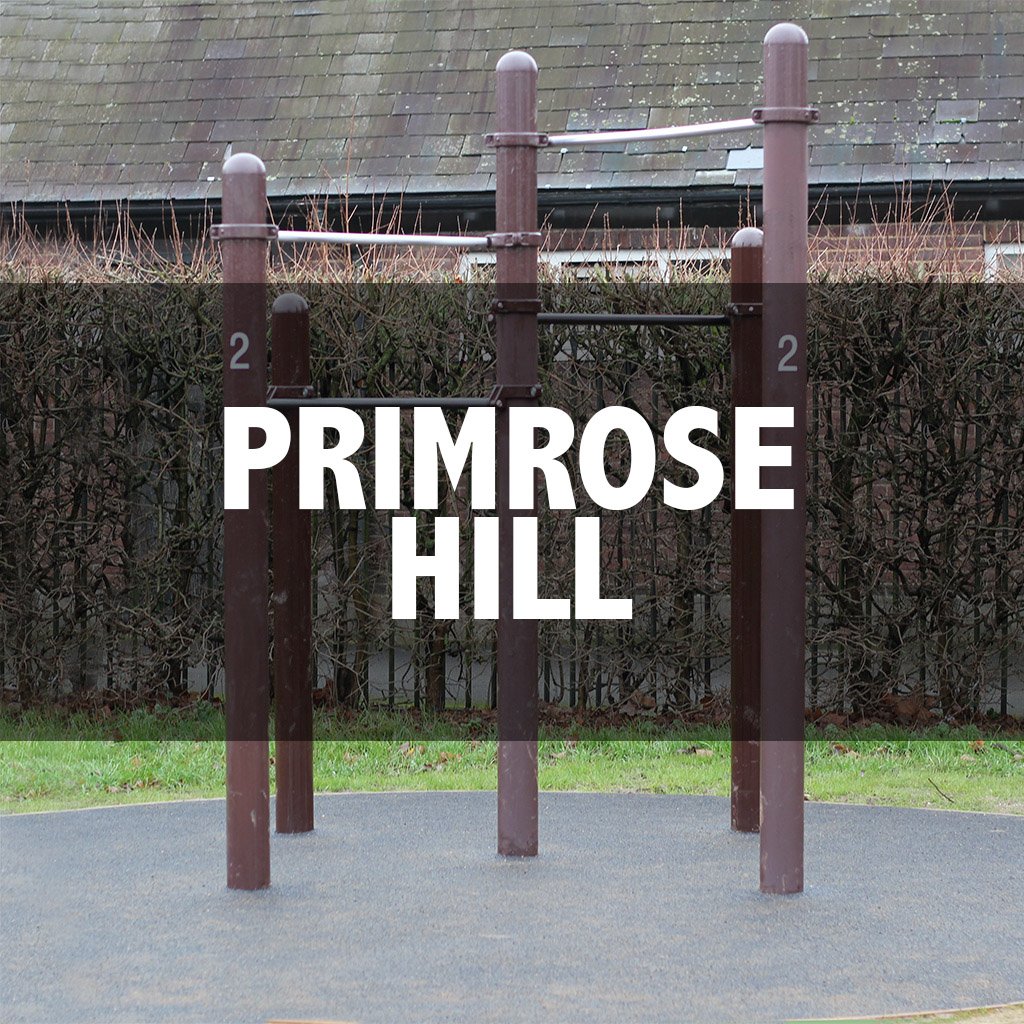 Primrose Hill cover.jpg