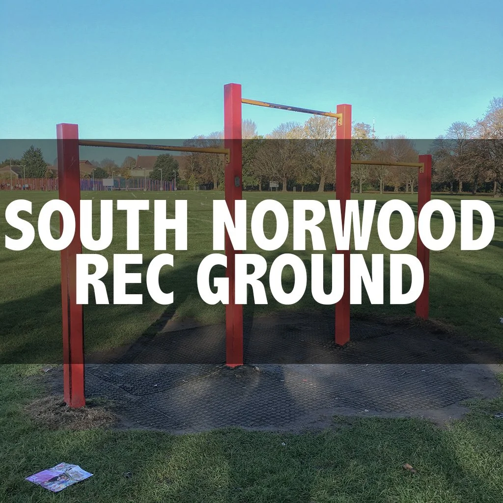 South Norwood Rec Ground cover.jpg