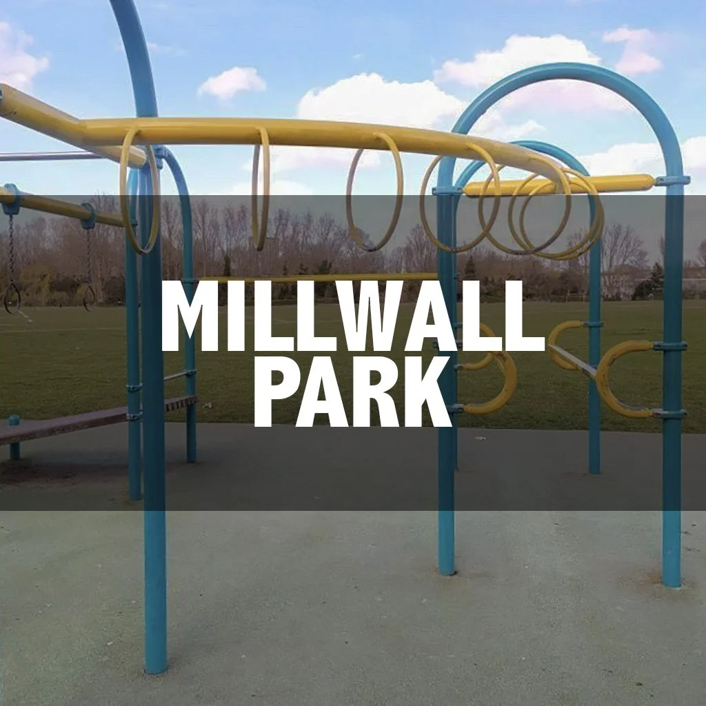 Millwall park cover.jpg