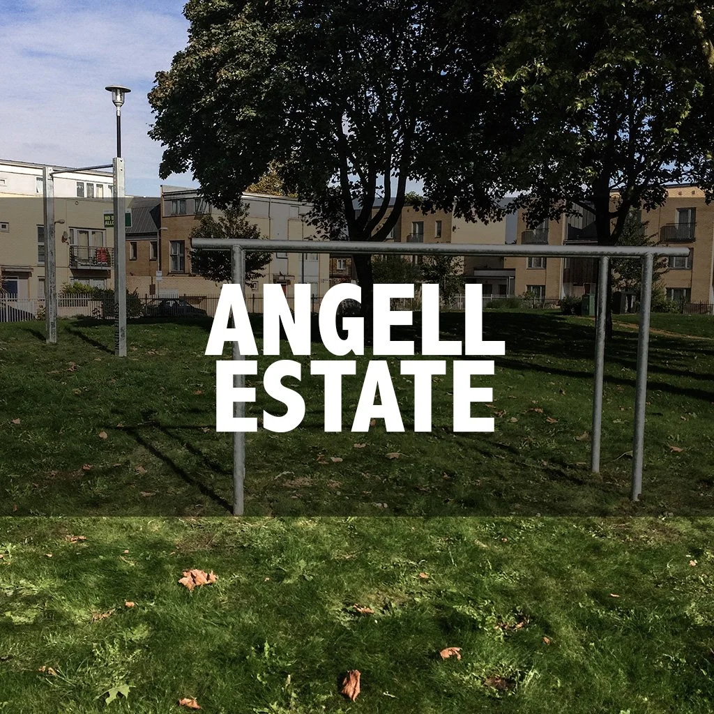 Angell Estate cover.jpg