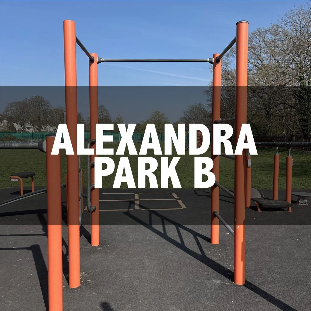 Alexandra Park B cover.JPEG