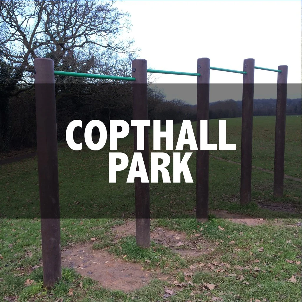 Copthall park cover.jpg