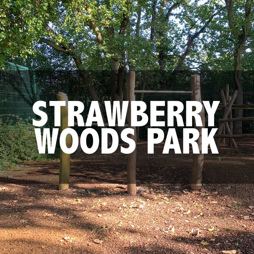 Strawberry Woods Play Area cover.jpg