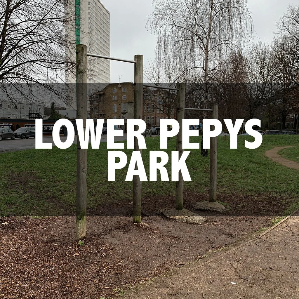 Lower Pepys park cover.jpg