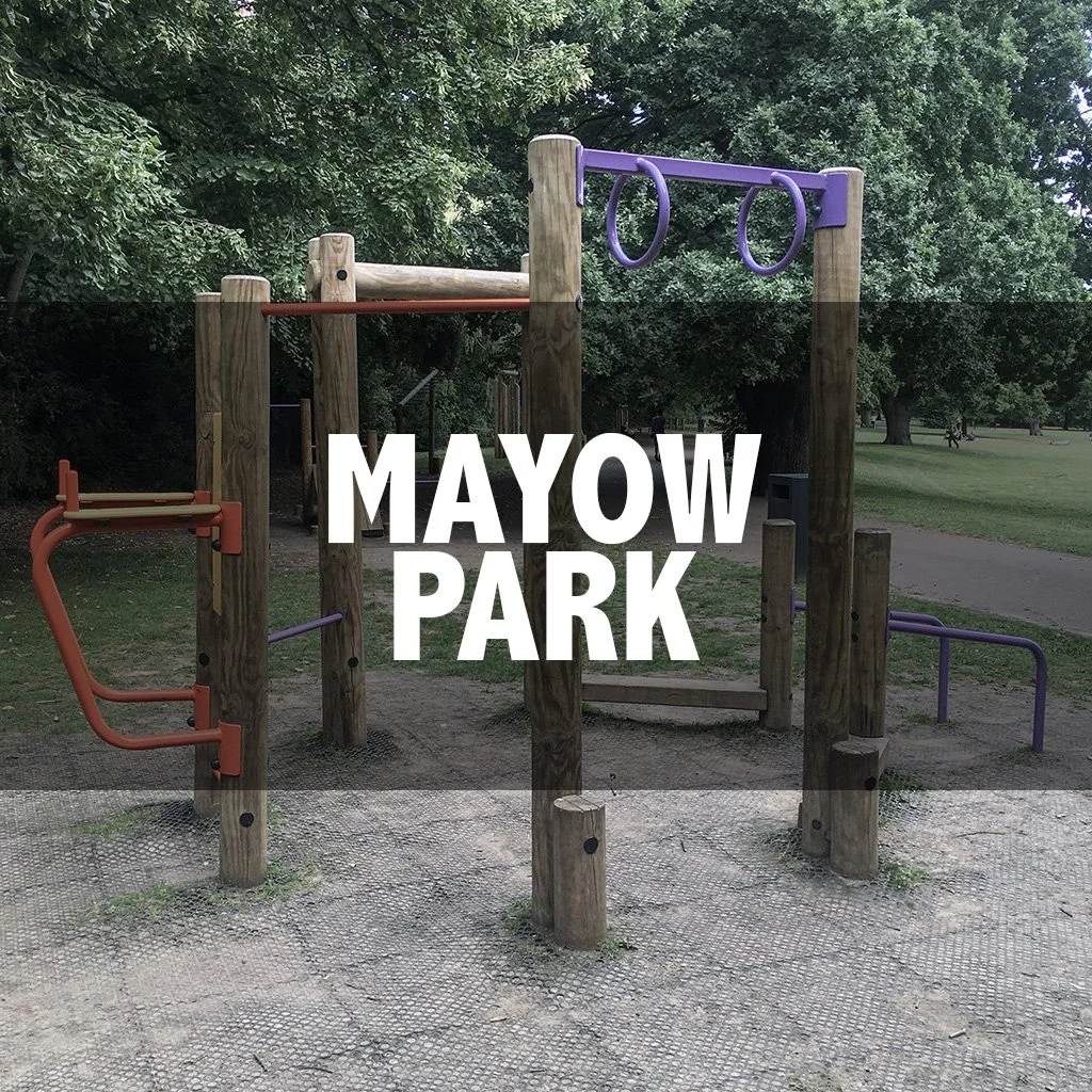 Mayow Park cover.jpg