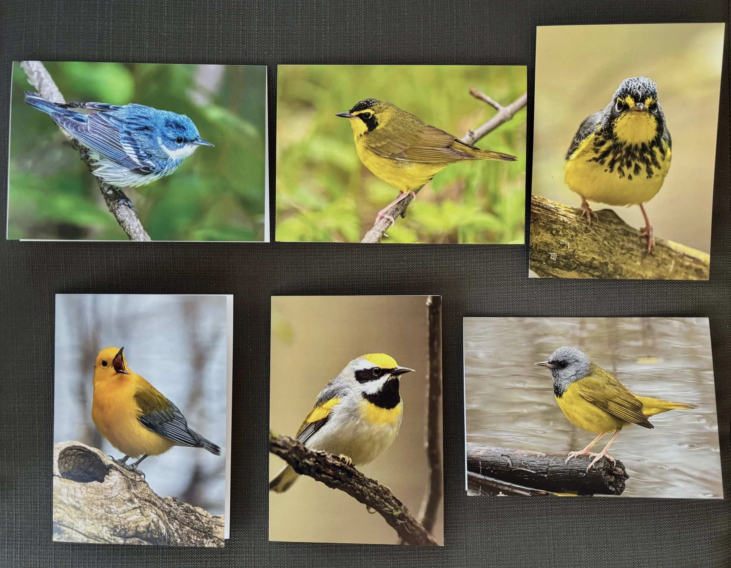 Terry Parker Bird Cards, final 6 of 12