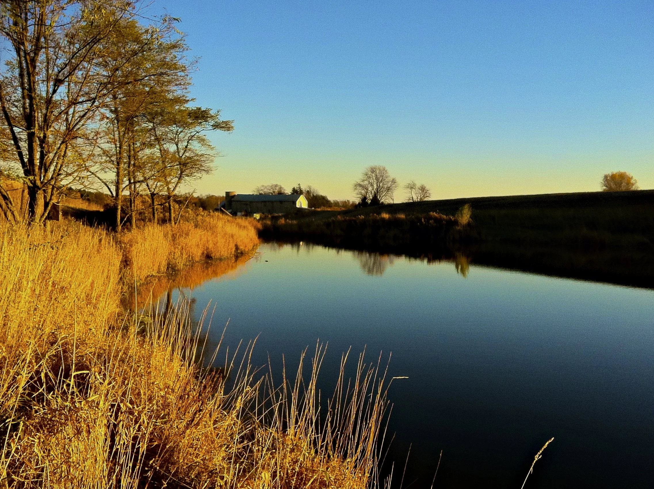 Workshop Parker Farm Back Pond in evening light