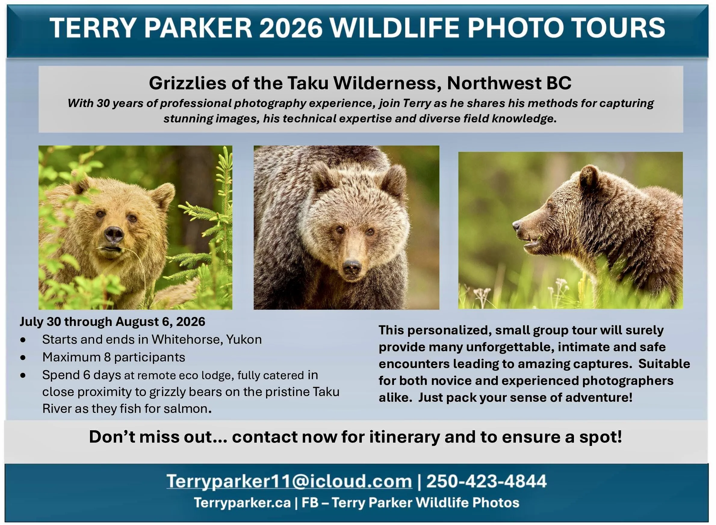 Flyer advertising Terry Parker's 2026 wildlife photo tours in the Taku Wilderness, Northwest BC, featuring images of grizzly bears/brown bear. Tour dates are from July 30 to August 6, 2026, limited to 8 participants, near Whitehorse, Yukon.