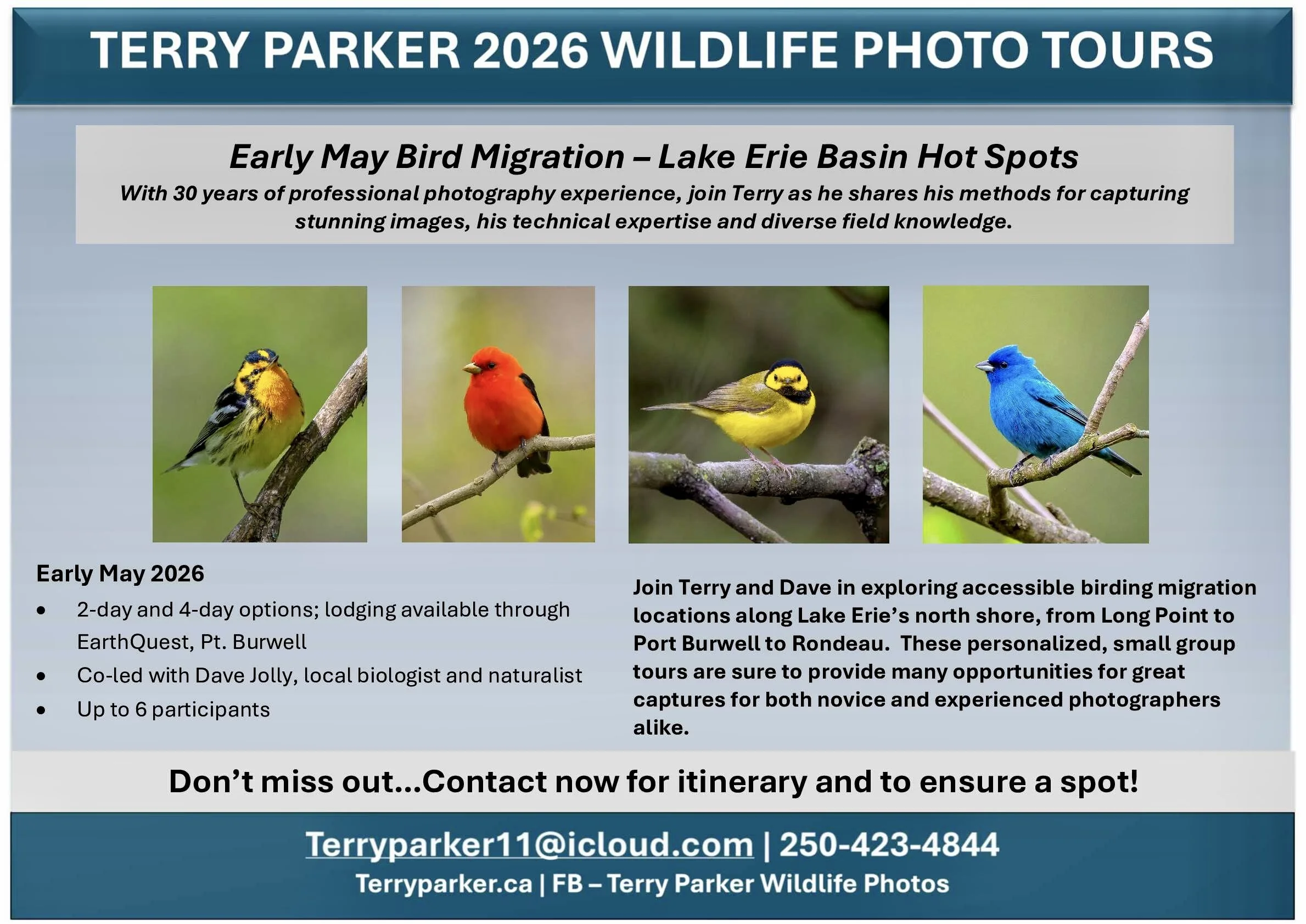 Flyer for Terry Parker's 2026 wildlife photo tours, featuring images of four birds, promoting early May bird migration tours in south western Ontarioin the Lake Erie Basin with details on dates, lodging, and contact information.