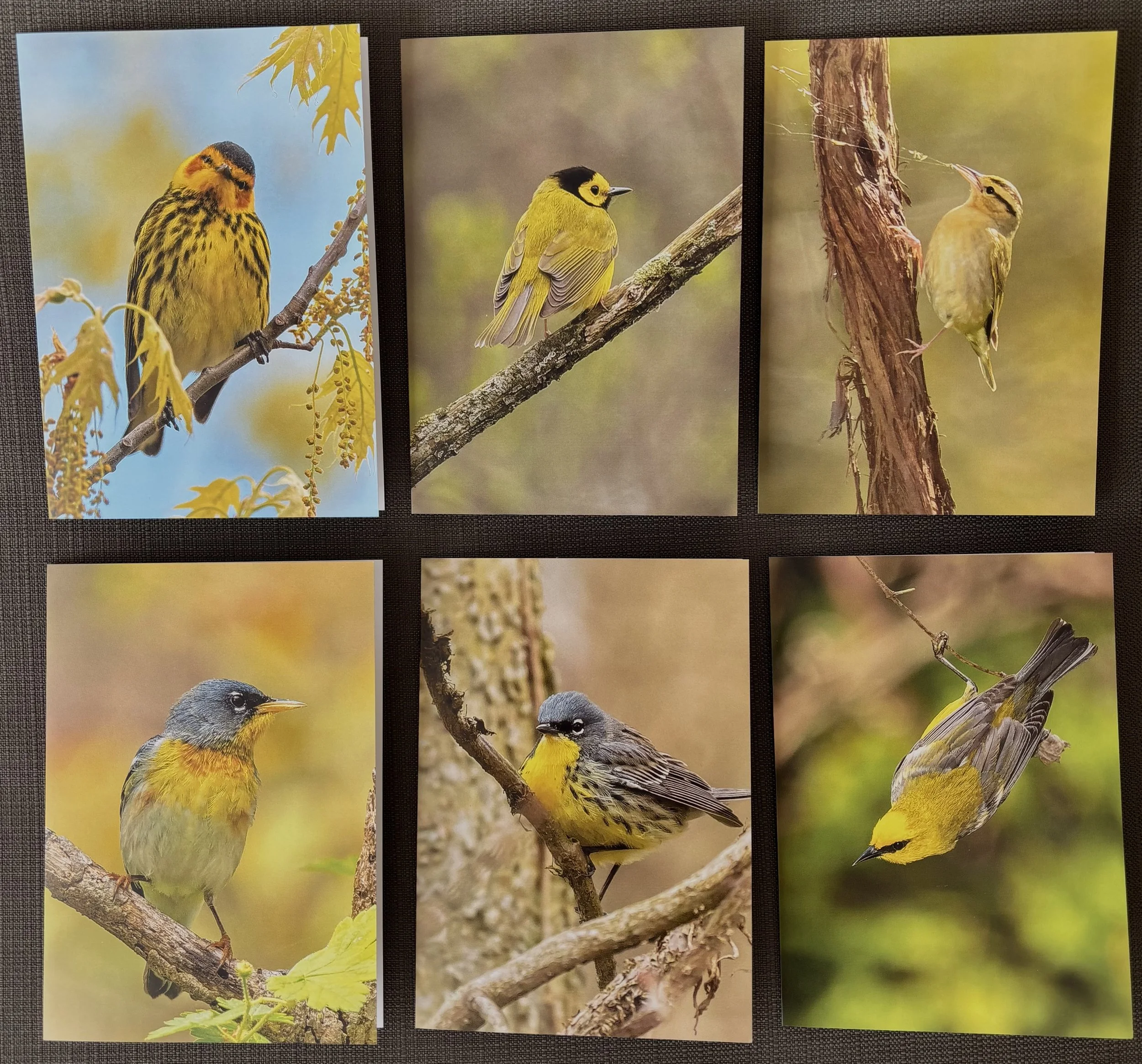 Terry Parker 5 x 7" cards_6 of 12