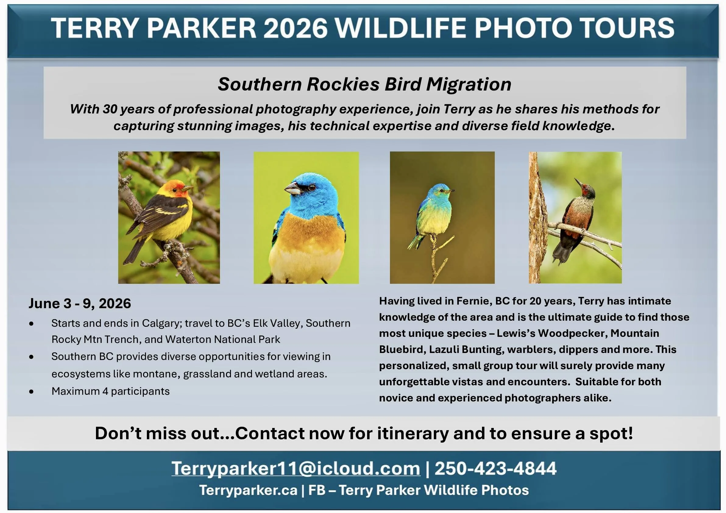 Flyer for Terry Parker's 2026 Wildlife Photo Tours focusing on Southern Rockies Bird Migration. Includes details about the tour from June 3-9, 2026, including locations in south eastern BC and southern Alberta.