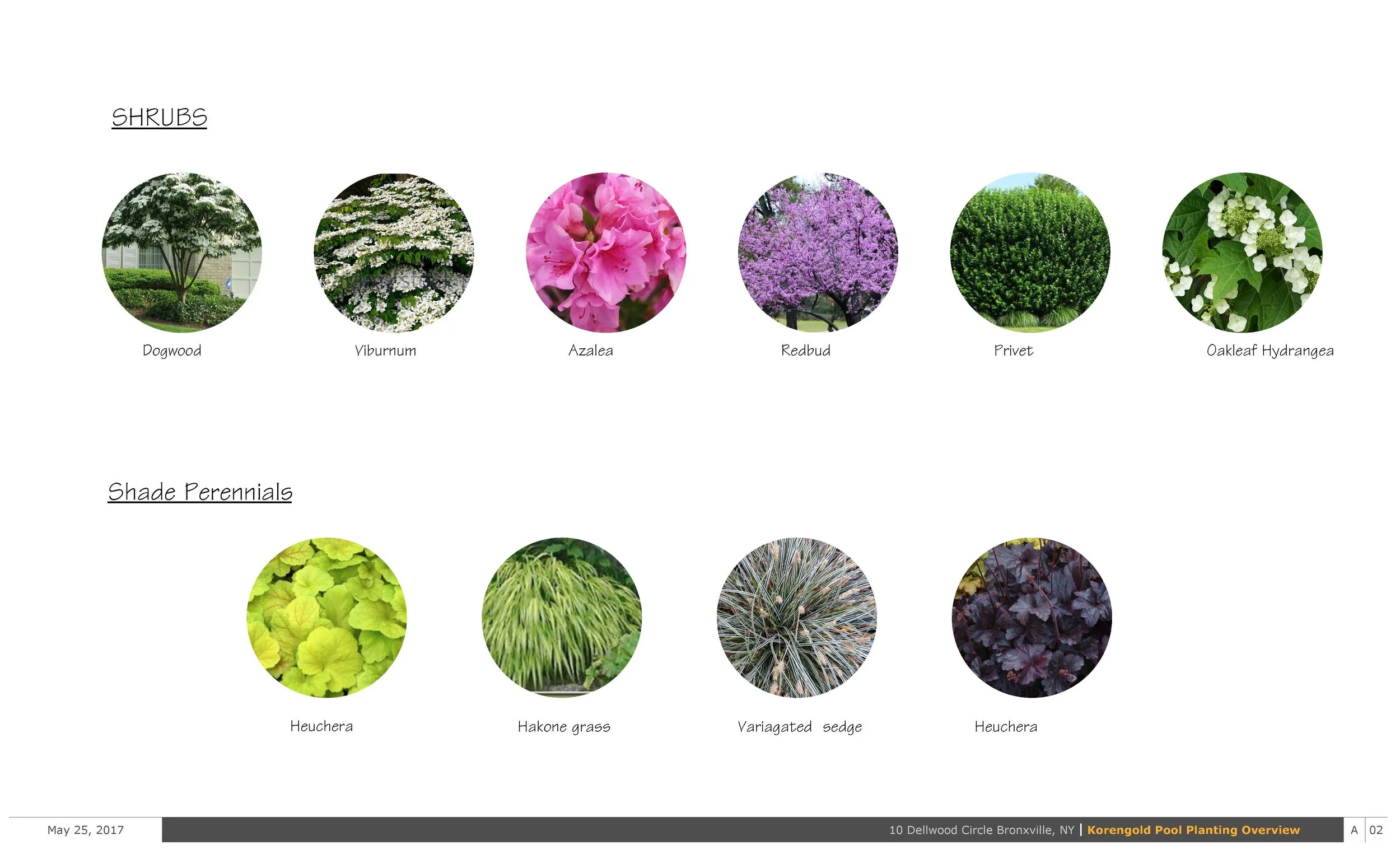A plant catalog listing different shrubs and shade perennials with their images and names, including Dogwood, Viburnum, Azalea, Redbud, Privet, Oakleaf Hydrangea, Heuchera, Hakone grass, Variegated sedge, and another Heuchera, with a date, location, 