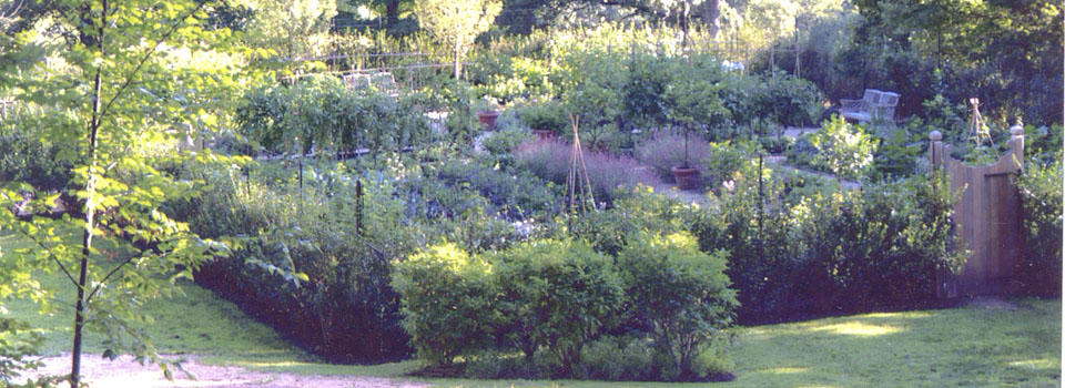 A lush backyard garden with various plants, shrubs, and trees, including a small grassy lawn and a wooden fence surrounding the area.