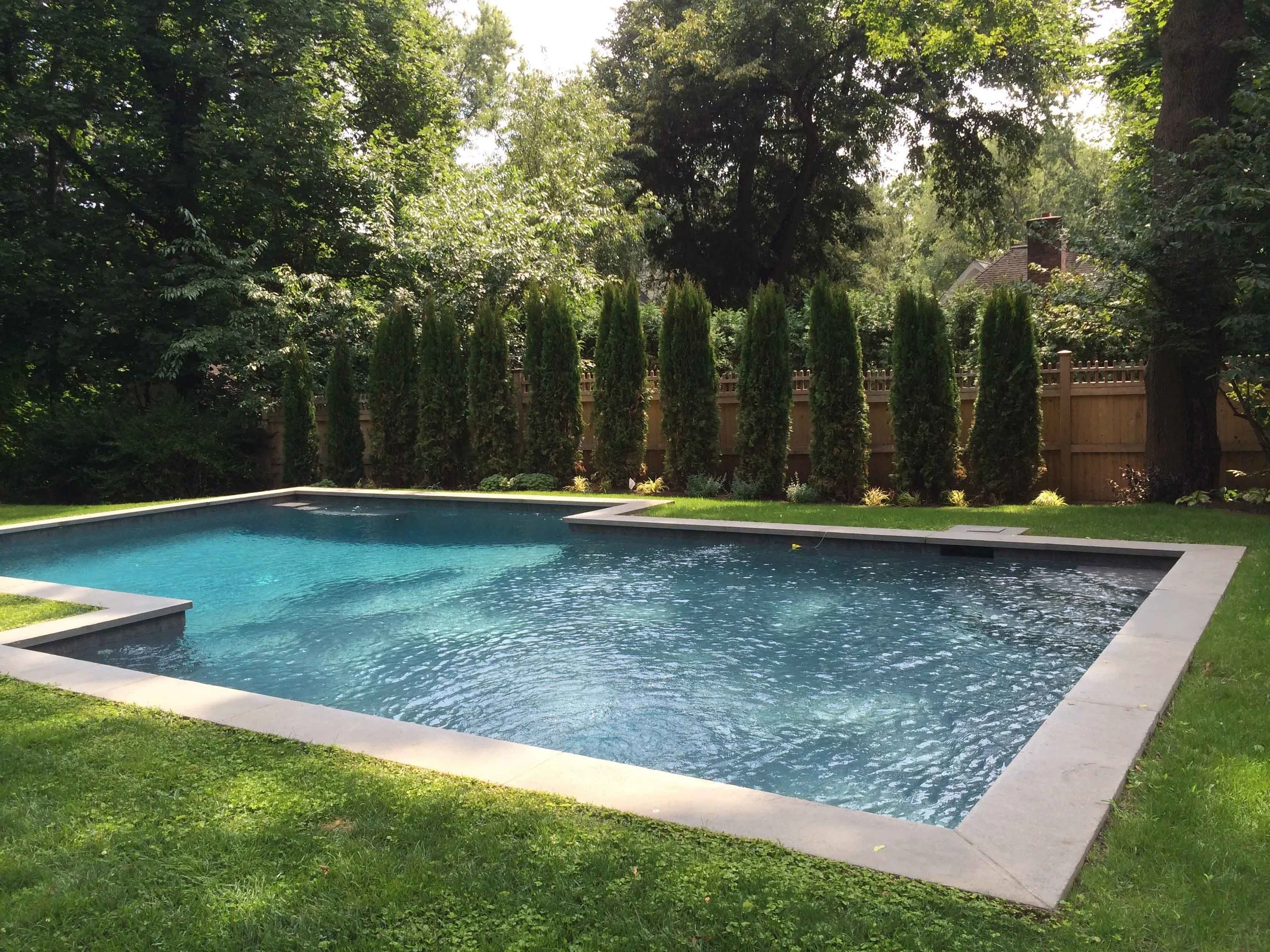 A backyard swimming pool surrounded by lush green grass, tall trees, and a wooden privacy fence, with sunlight filtering through the leaves.
