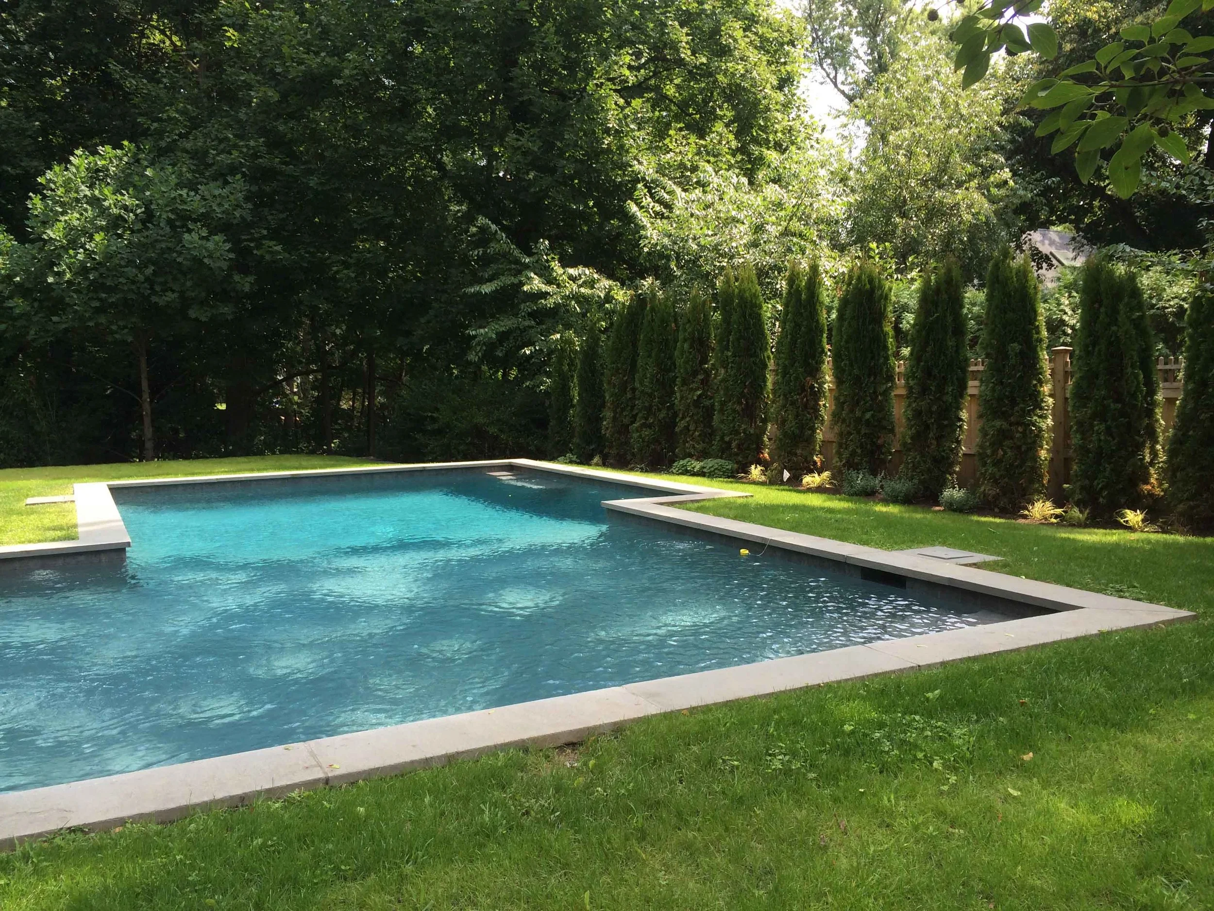 A backyard with a rectangular swimming pool surrounded by a well-maintained green lawn, tall trees on one side, and a row of tall, narrow evergreen bushes along a wooden fence.