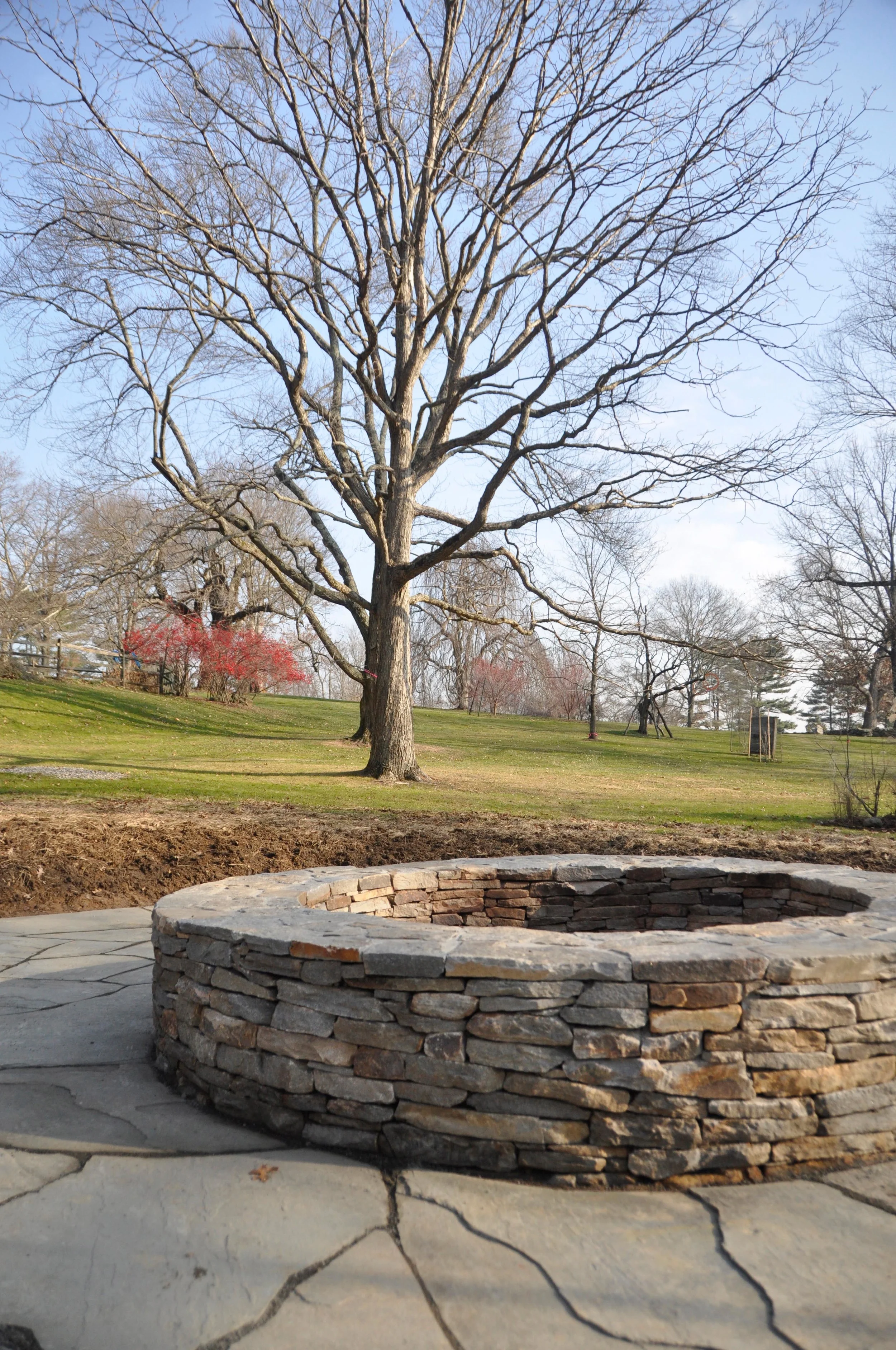 A large leafless tree in a park during late fall or winter, with a stone fire pit in the foreground and a grassy area with scattered trees in the background.