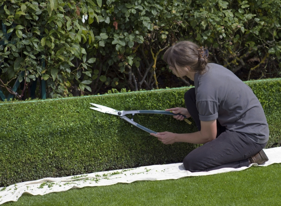 Screen Shot 2016-12-10 at 1.52.07 PM.png