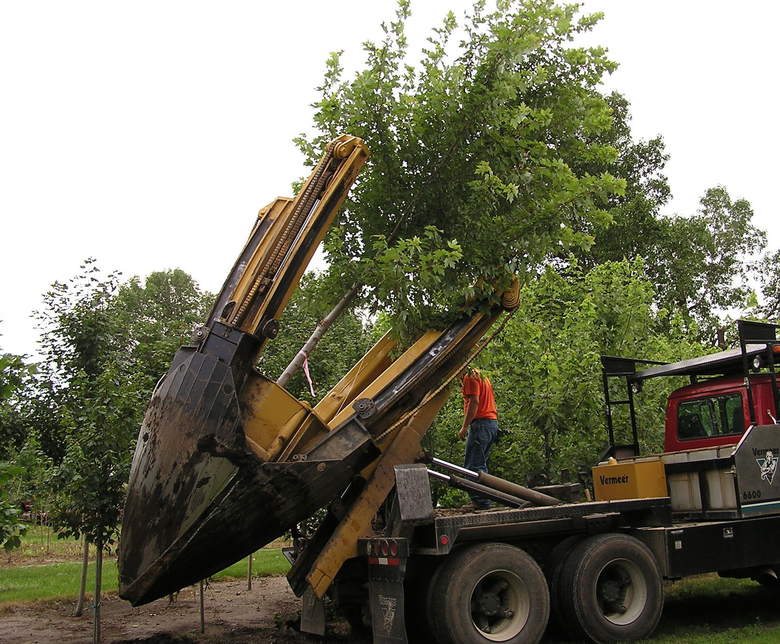 Screen Shot 2016-12-10 at 1.43.50 PM.png