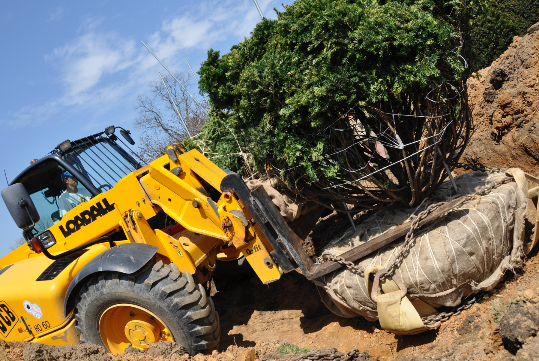 Screen Shot 2016-12-10 at 1.57.01 PM.png