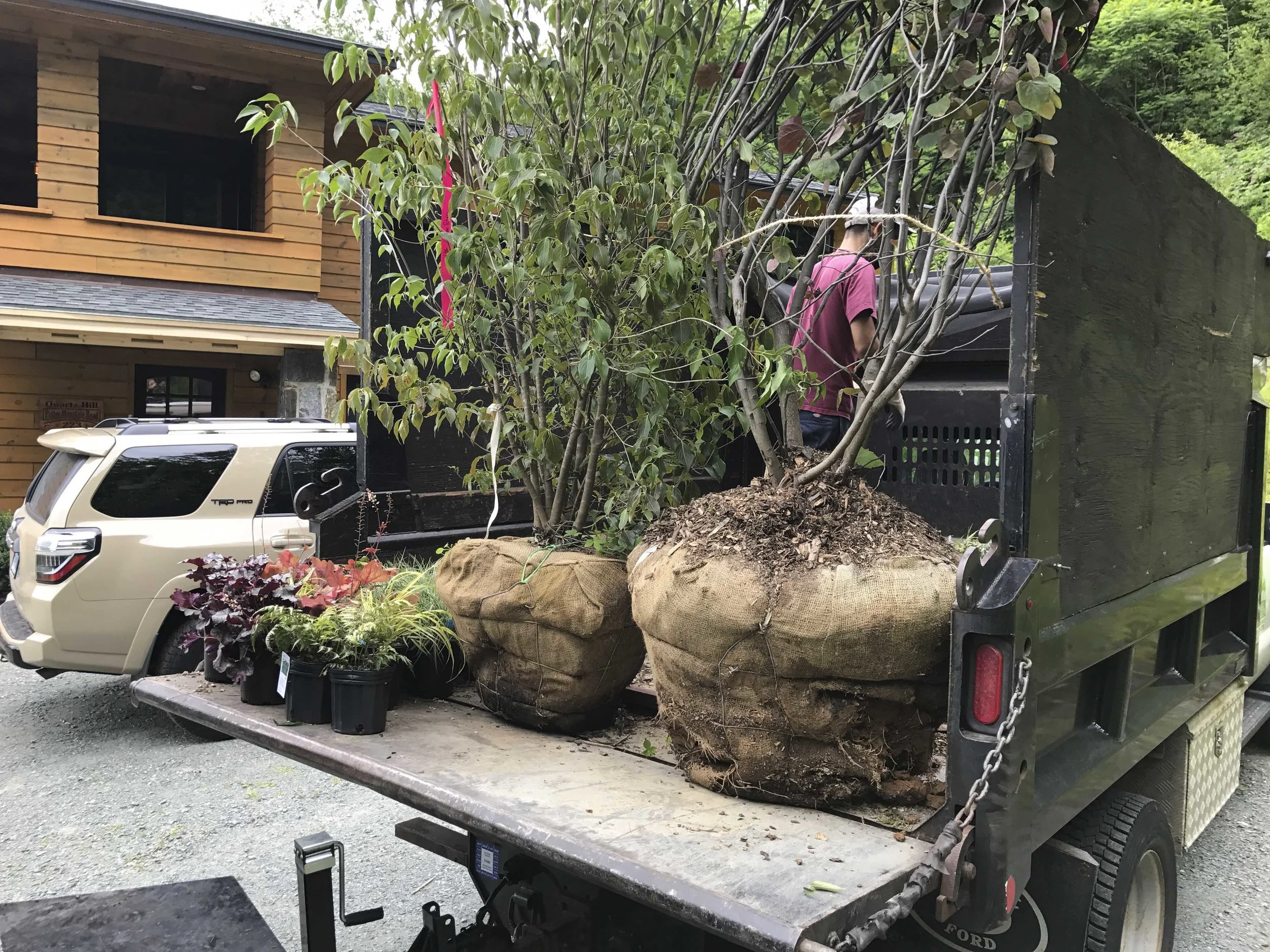 Plants with root balls loaded on a truck, with a man working in the background and a residential house nearby.