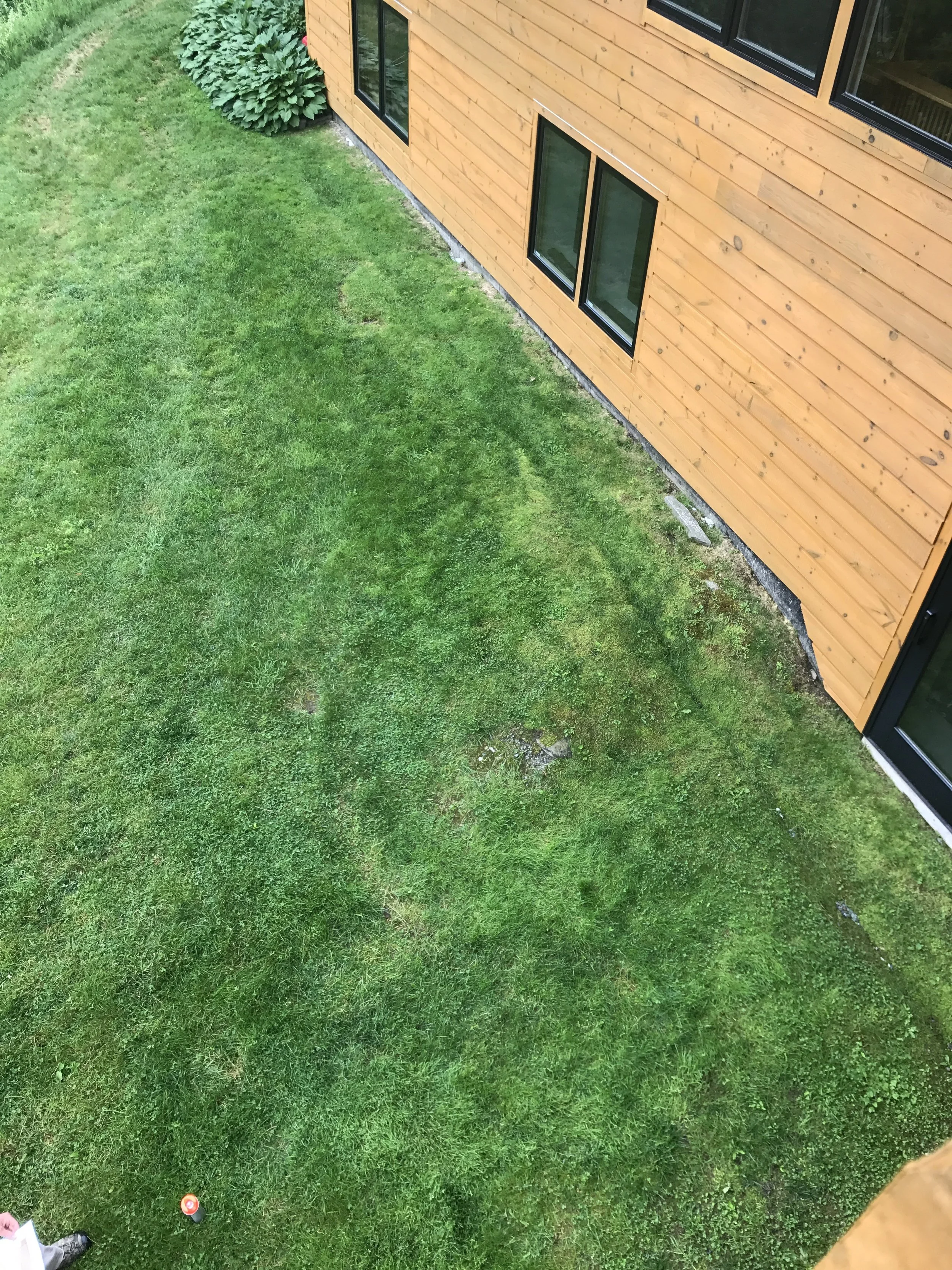 View of a green lawn beside a wooden house with black-framed windows and a flower bush nearby.