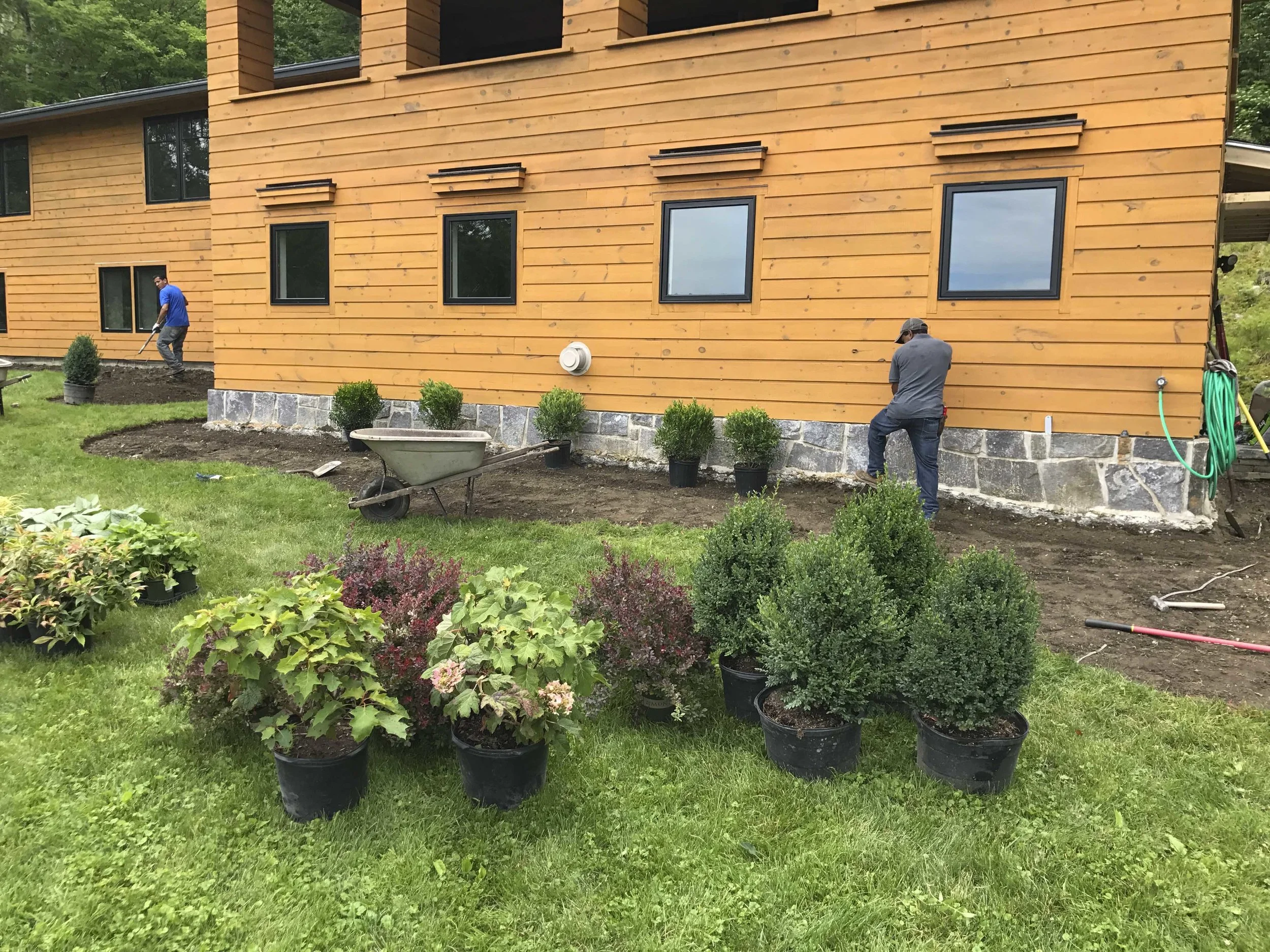 Two men are working on landscaping around a newly built wooden house with small bushes and potted plants, using gardening tools.