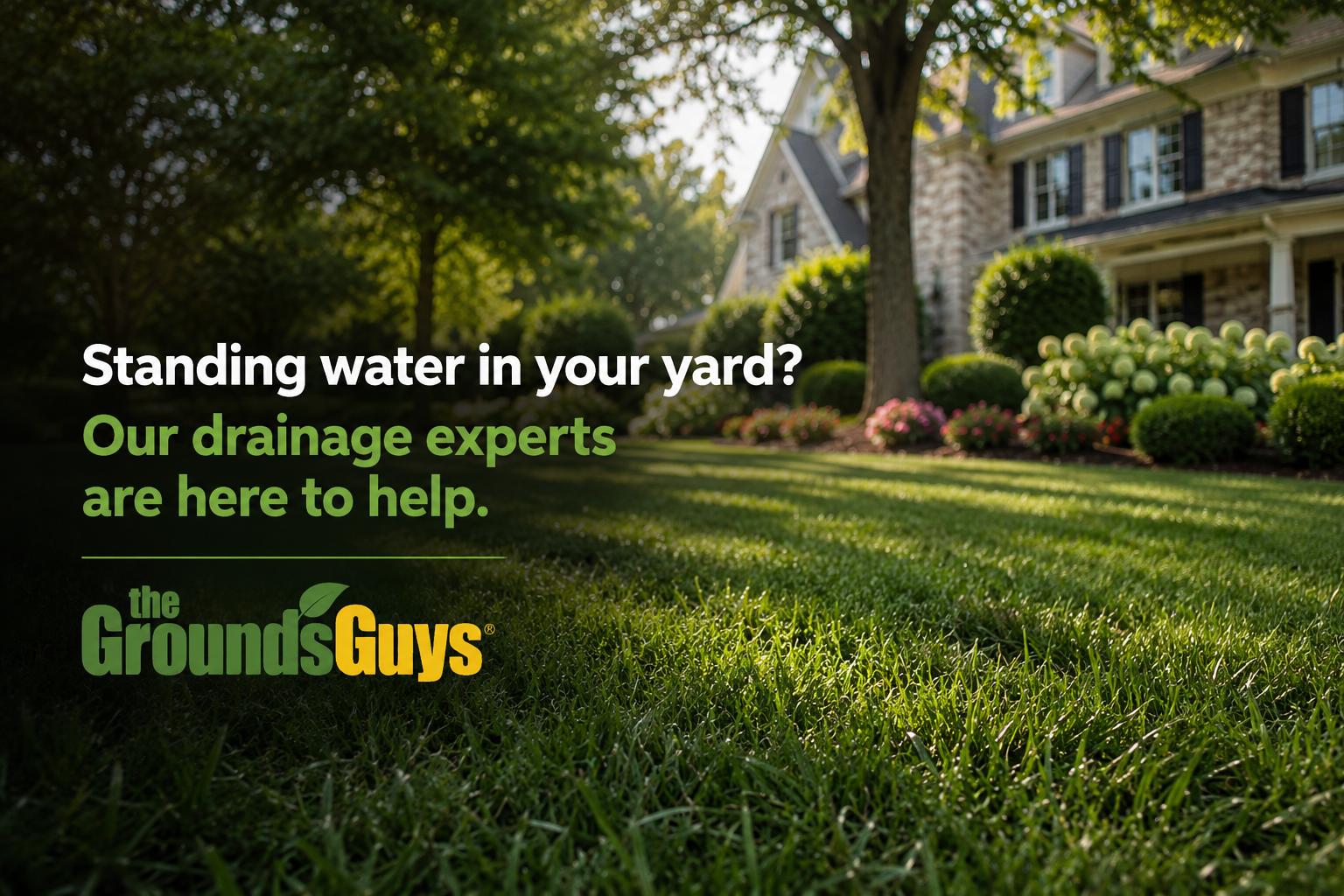 Beautiful residential lawn and landscape with expert drainage solutions for standing water issues