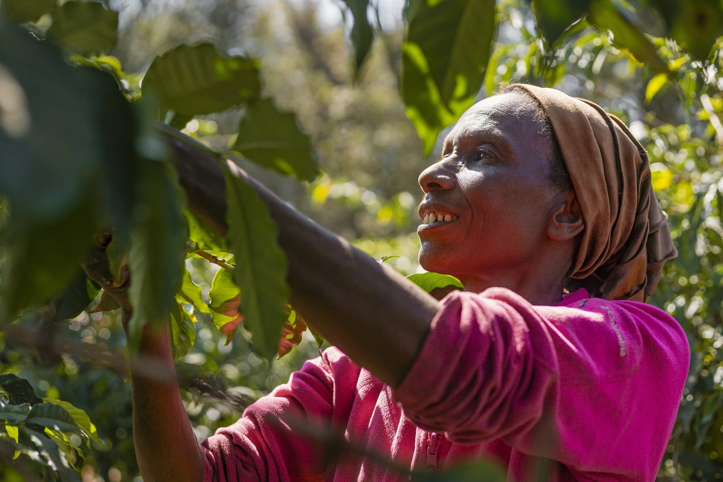 Homepage - Slideshow.jpg