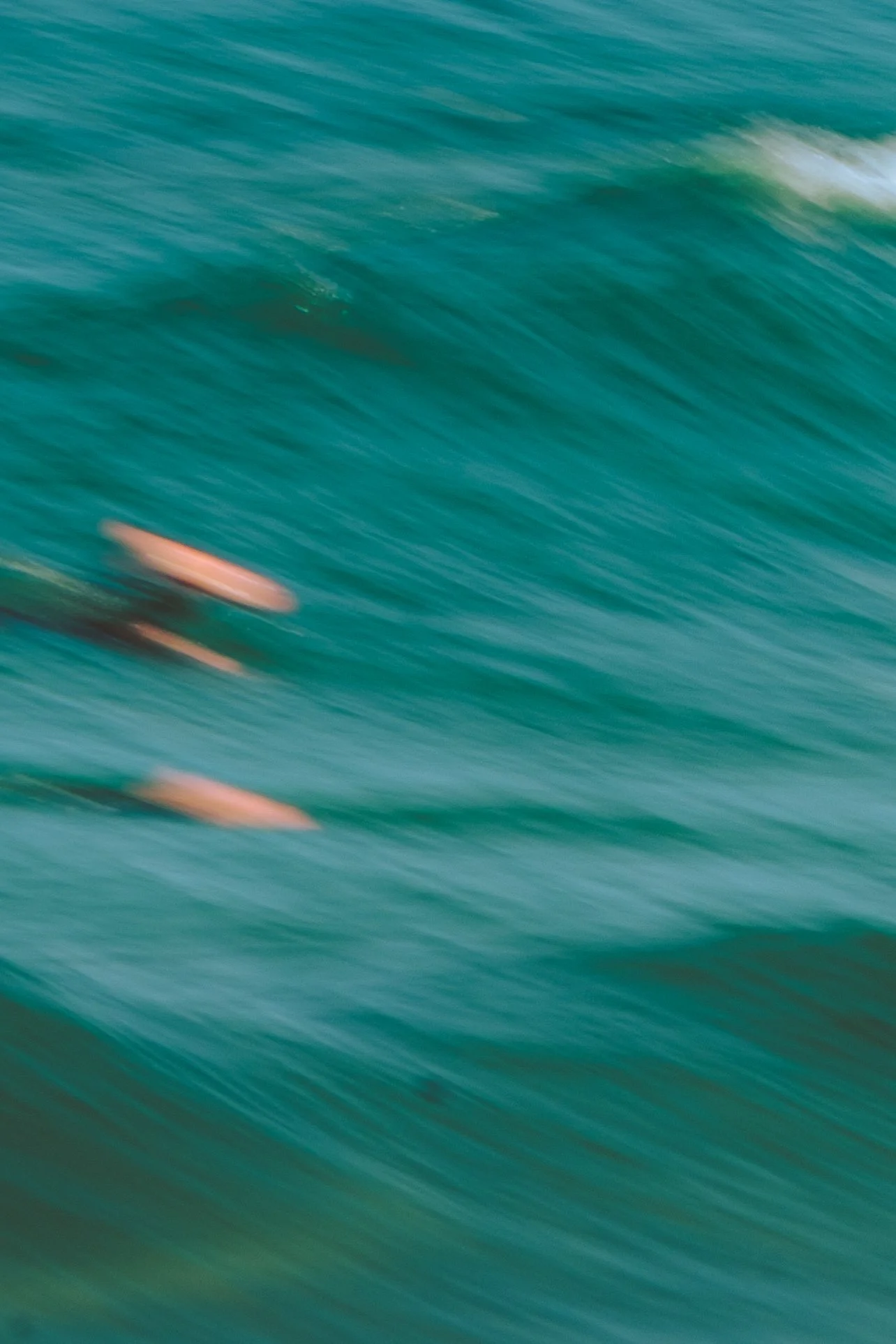 DSCF3768-2.jpg