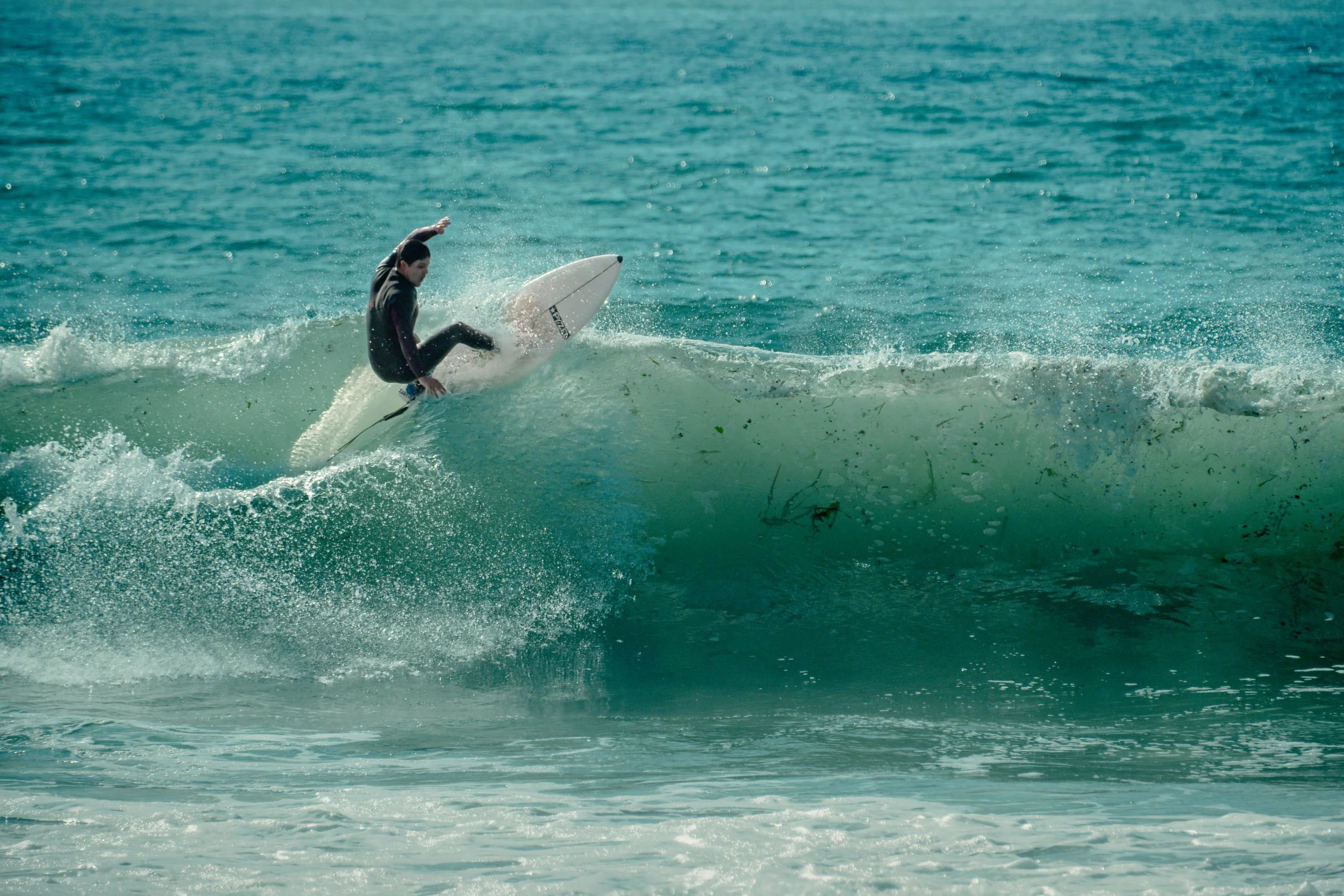 DSCF8770.jpg