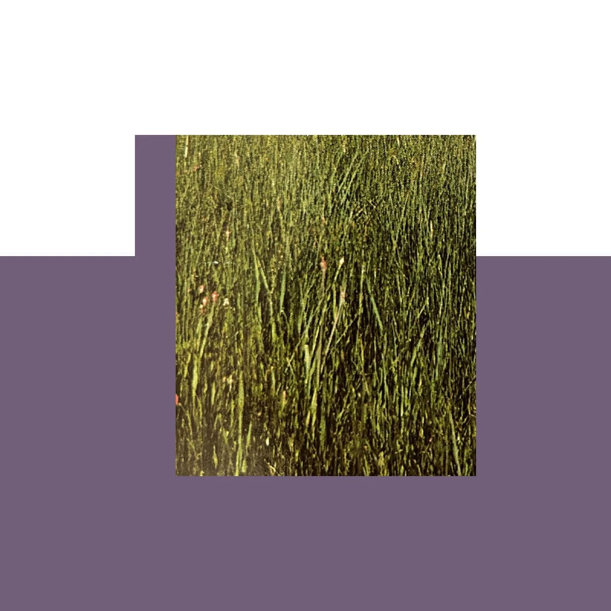 Beat 005