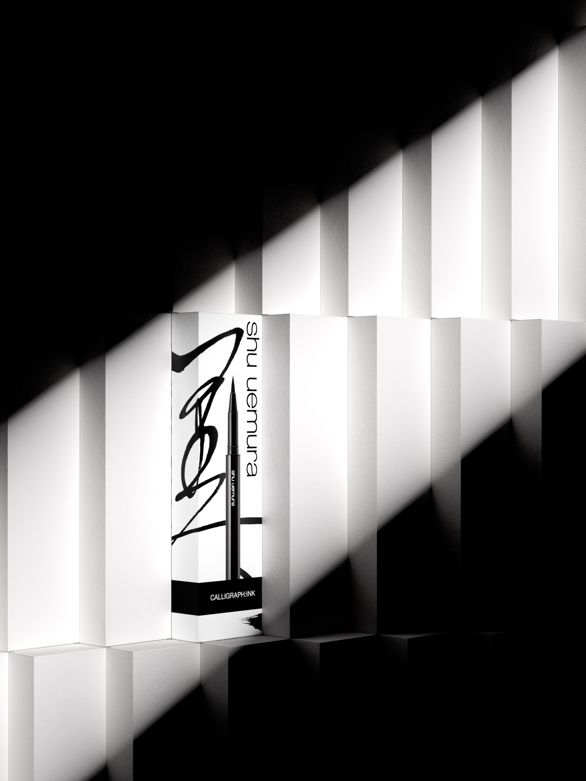 A black calligraphy ink pen with white text on the barrel, standing upright against a black and white background with dramatic shadows, with the text 'CALLIGRAPH: INK' at the bottom of the depicted poster. Packaging Design & 3D Still Life.