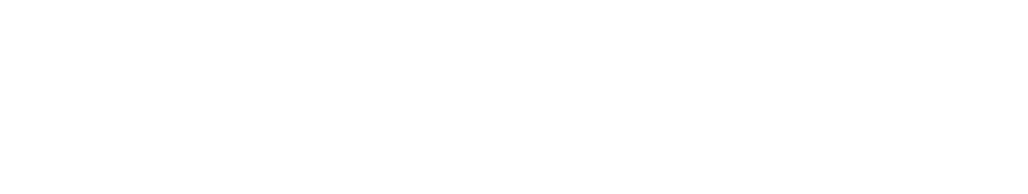 Sisters in Action Charity Drag Brunch