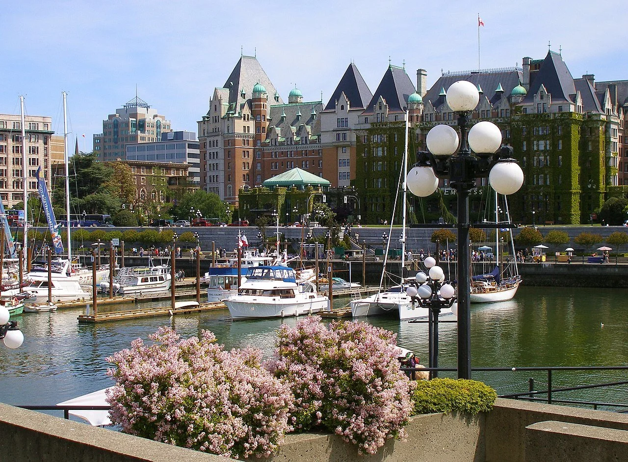 Harbor with boats docked, pink flowering bushes in foreground, historic and modern buildings in the background, and a decorative street lamp with white globes.