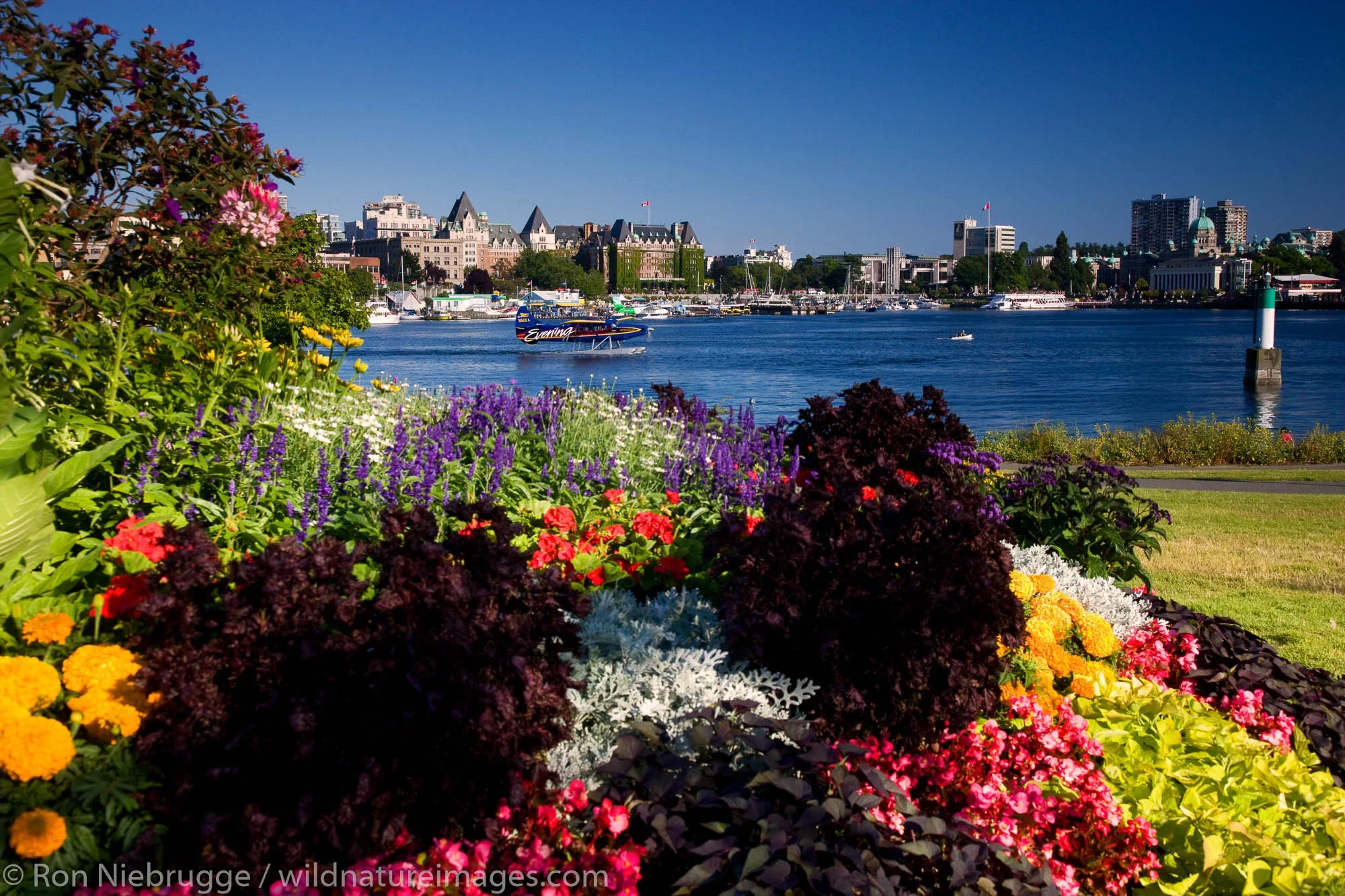 Colorful flower garden with purple, red, yellow, and white flowers in foreground, harbor with boats in middle ground, and city skyline with historic buildings and modern structures under a clear blue sky in background.